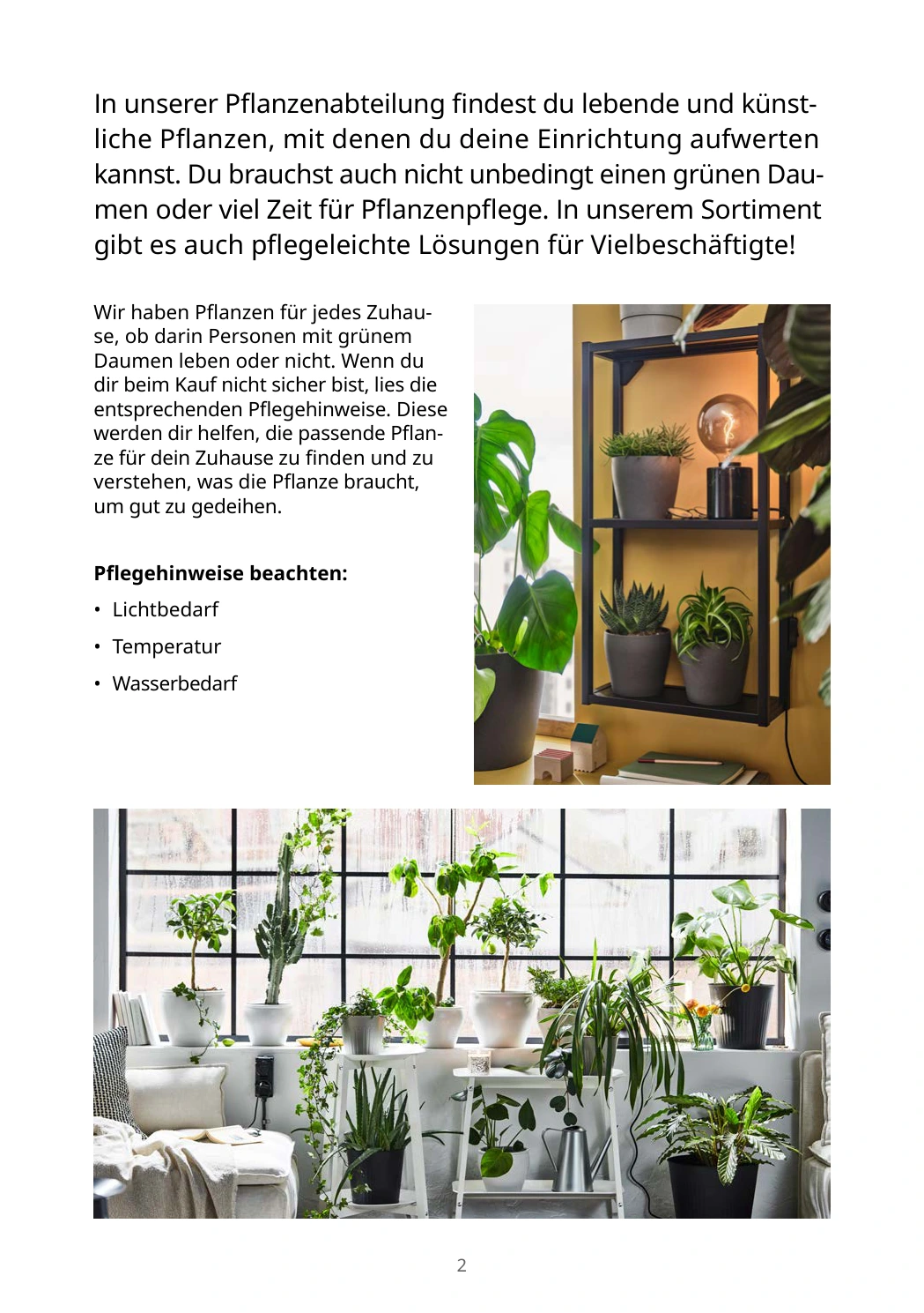 Flyer page 2