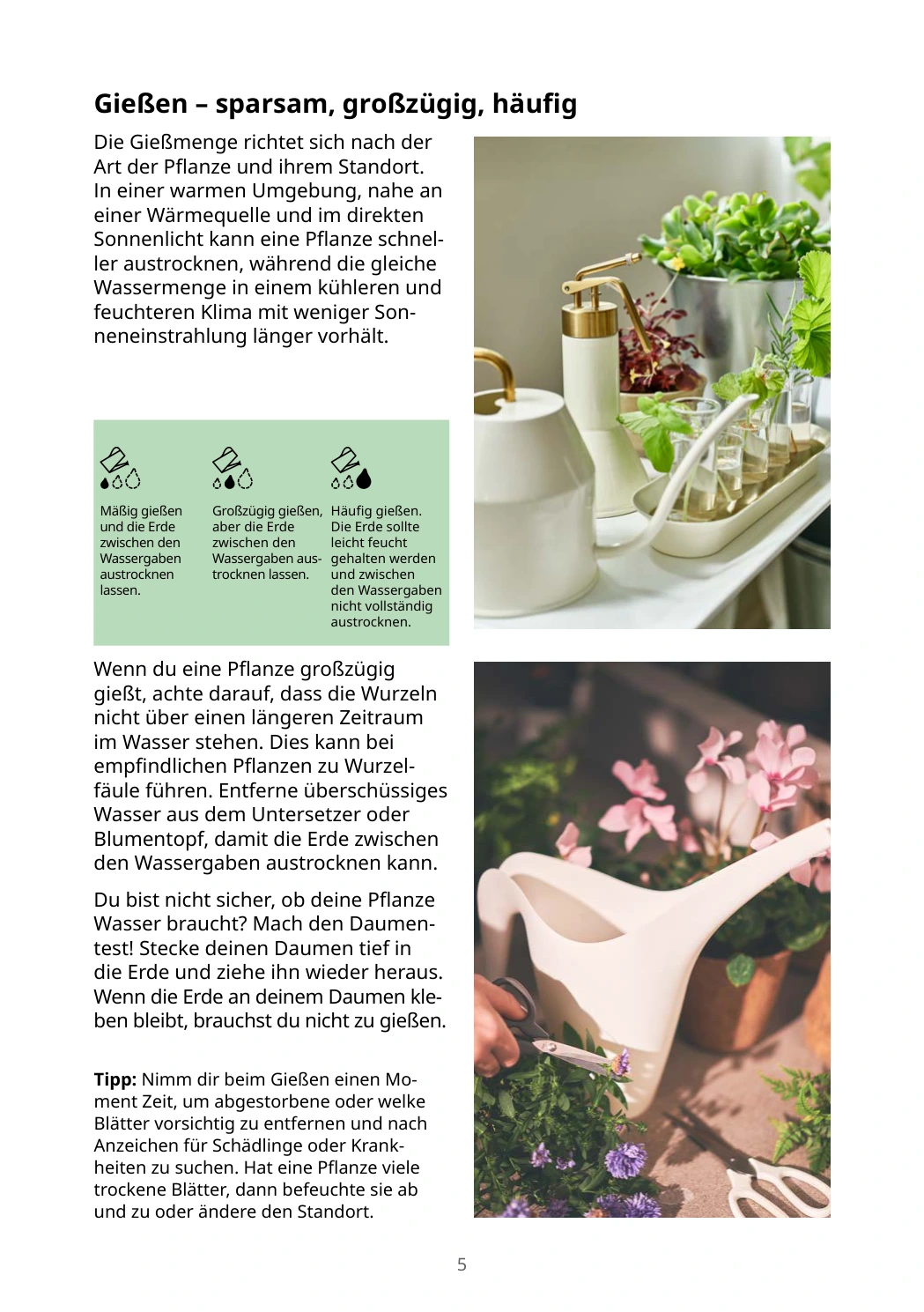 Flyer page 5