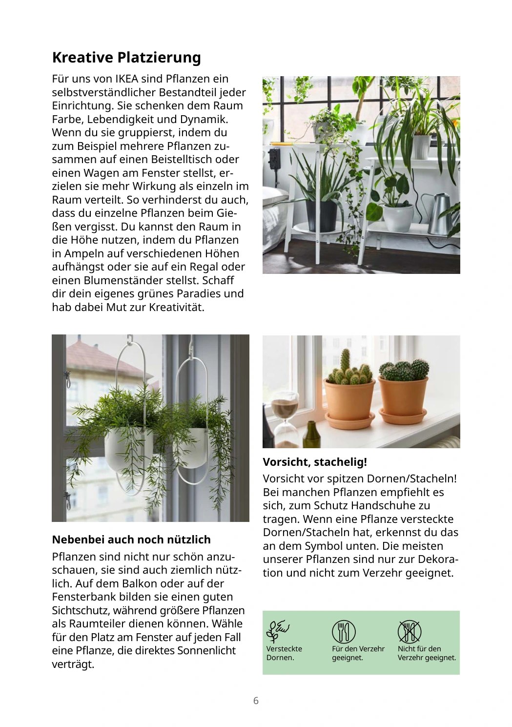 Flyer page 6