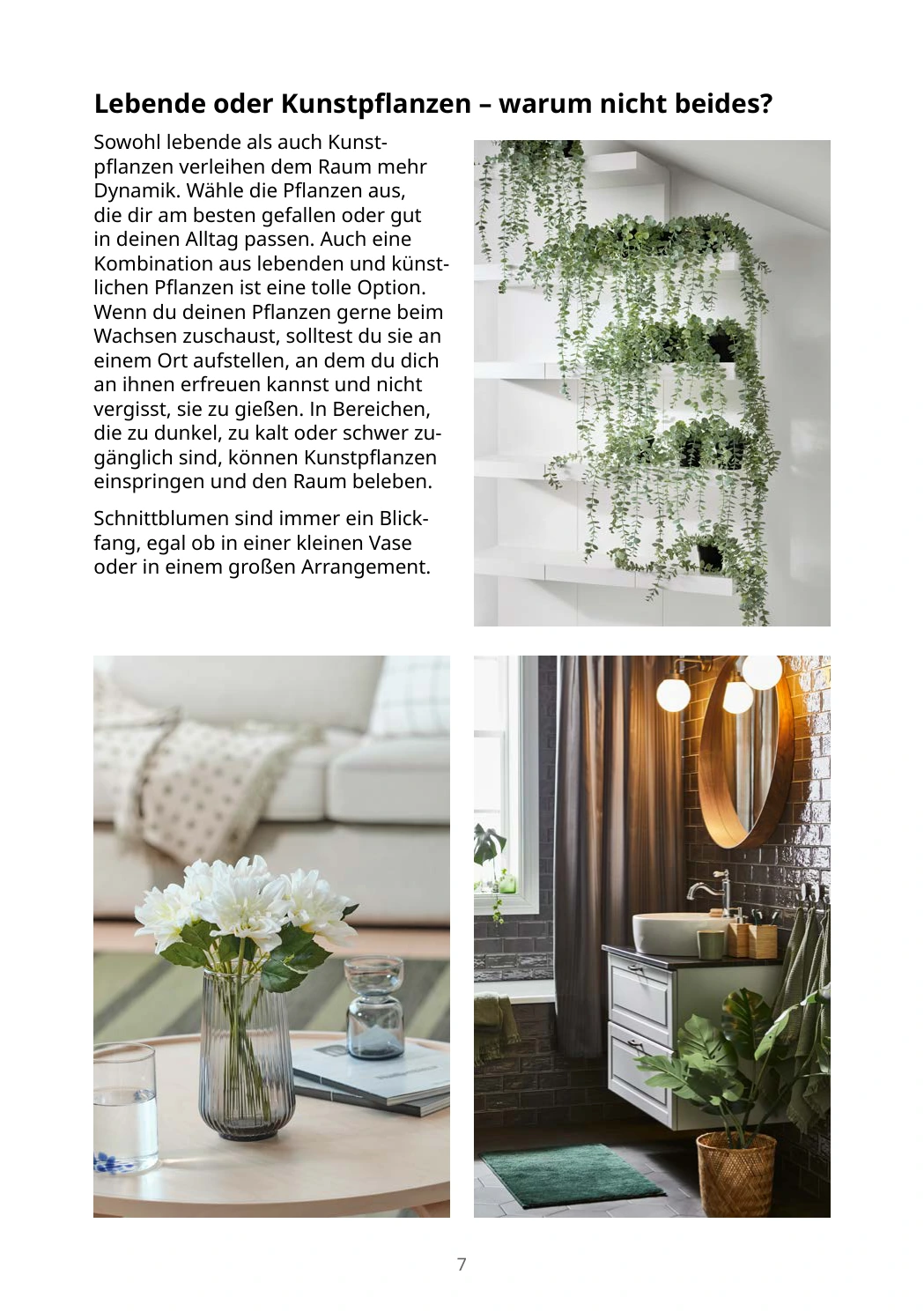Flyer page 7