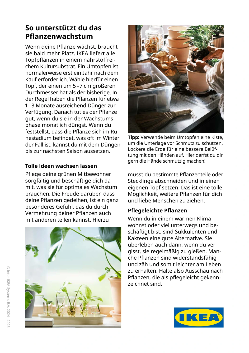 Flyer page 8