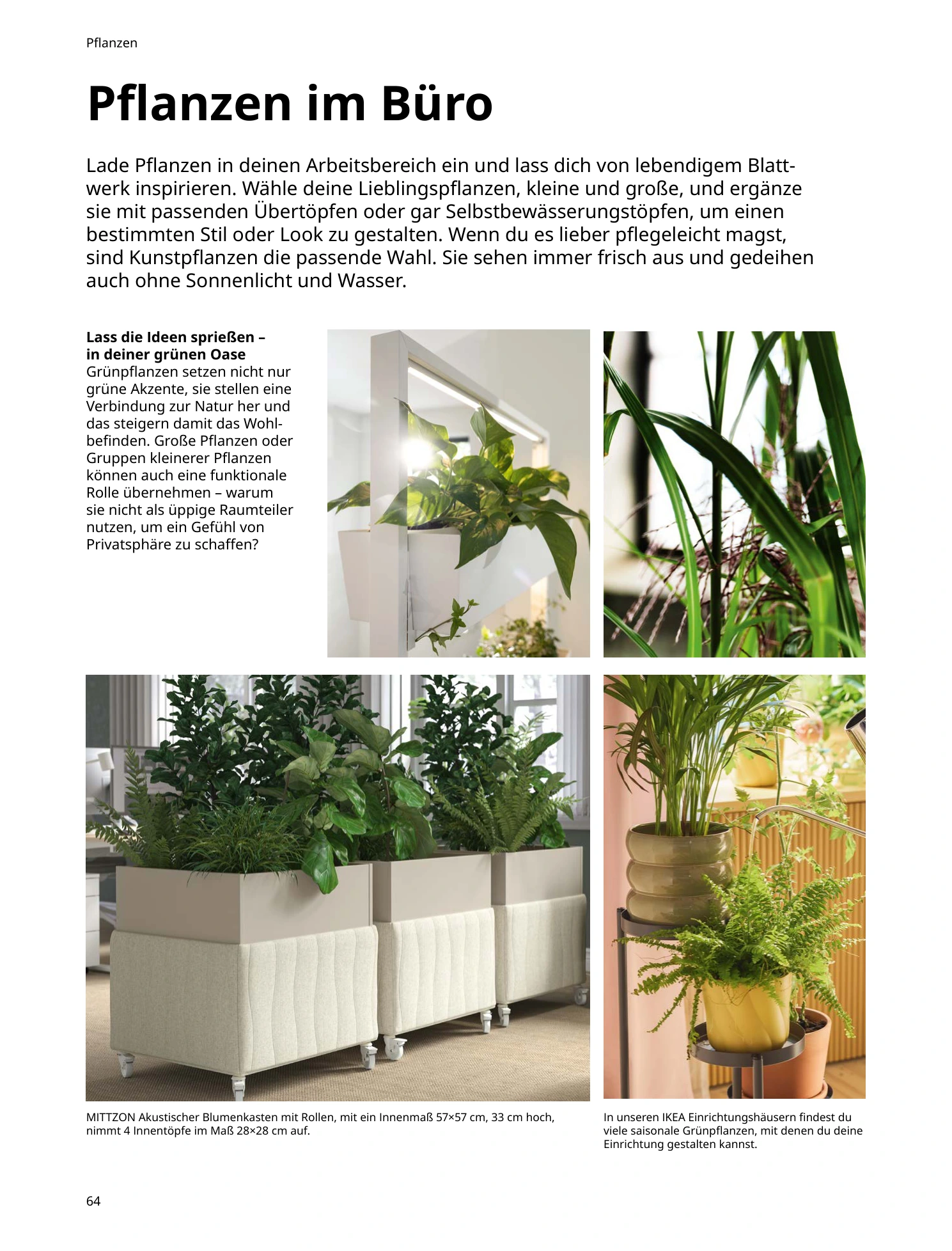Flyer page 64