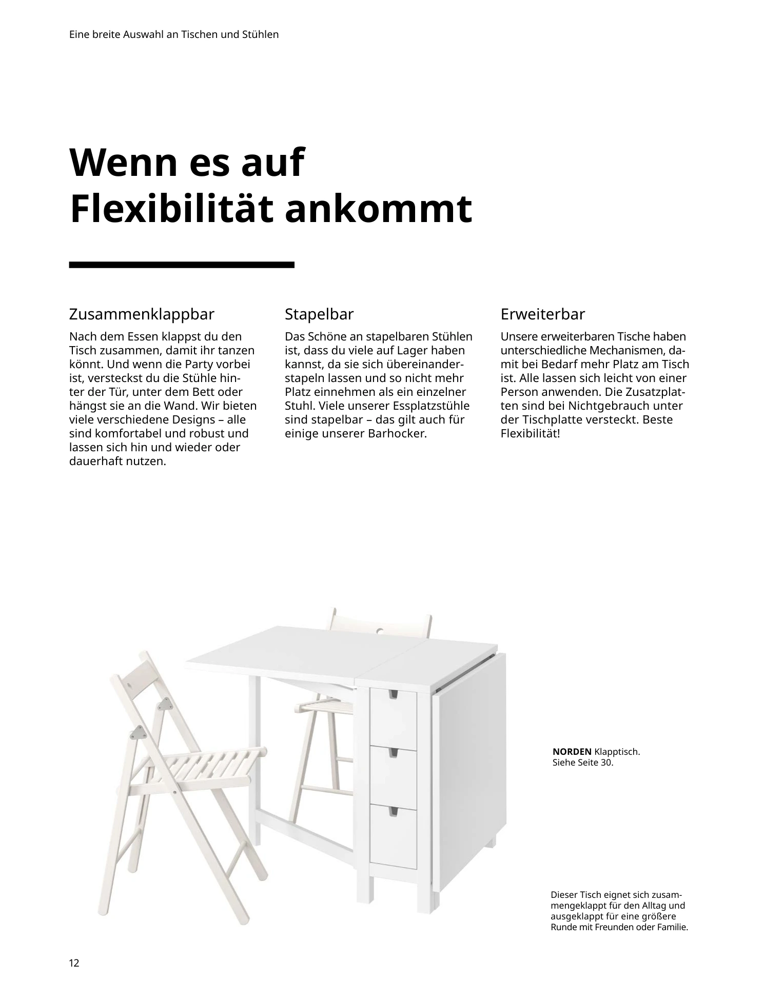 Flyer page 12