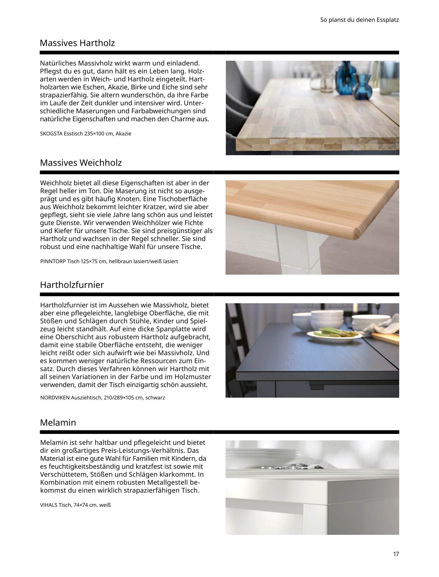 Flyer page 17