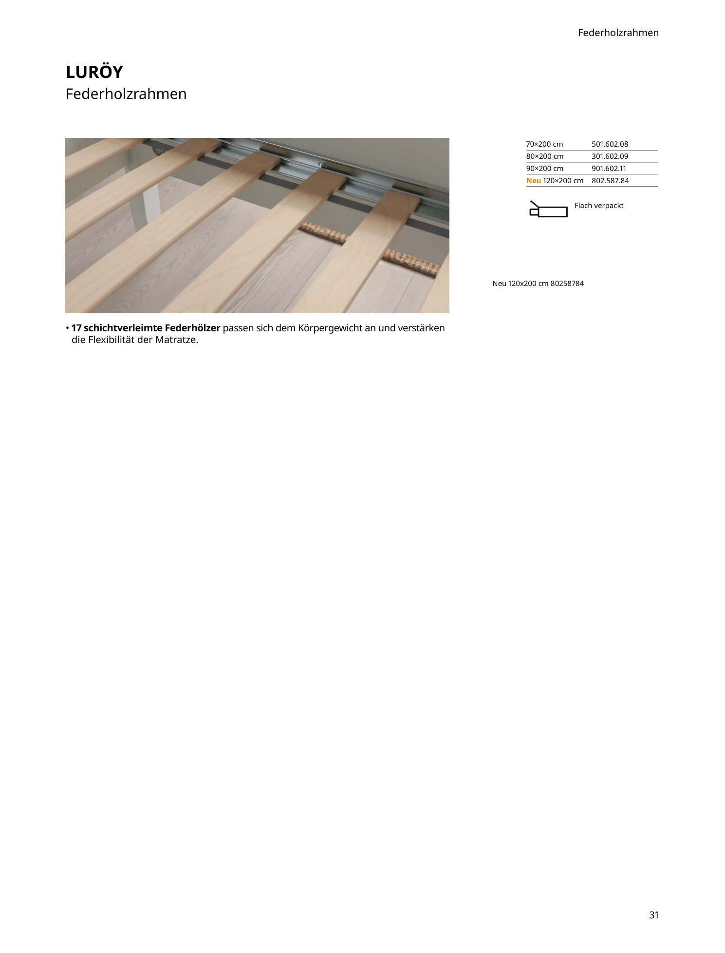 Flyer page 31