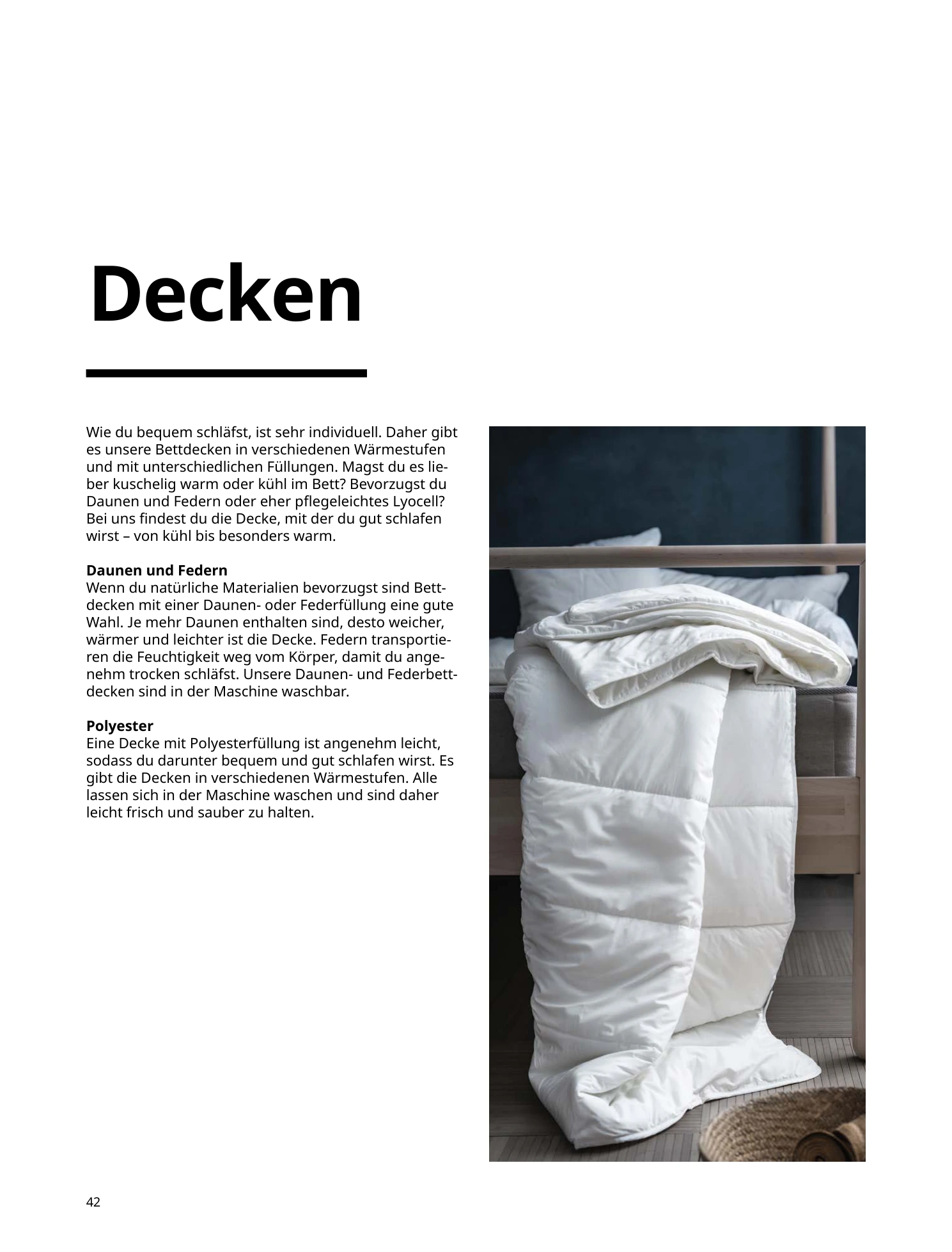 Flyer page 42