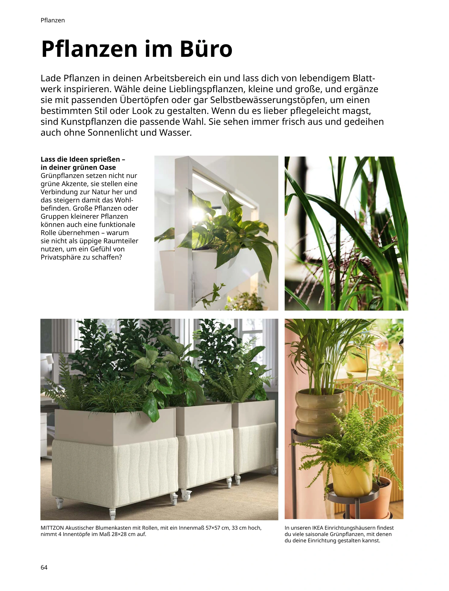 Flyer page 64