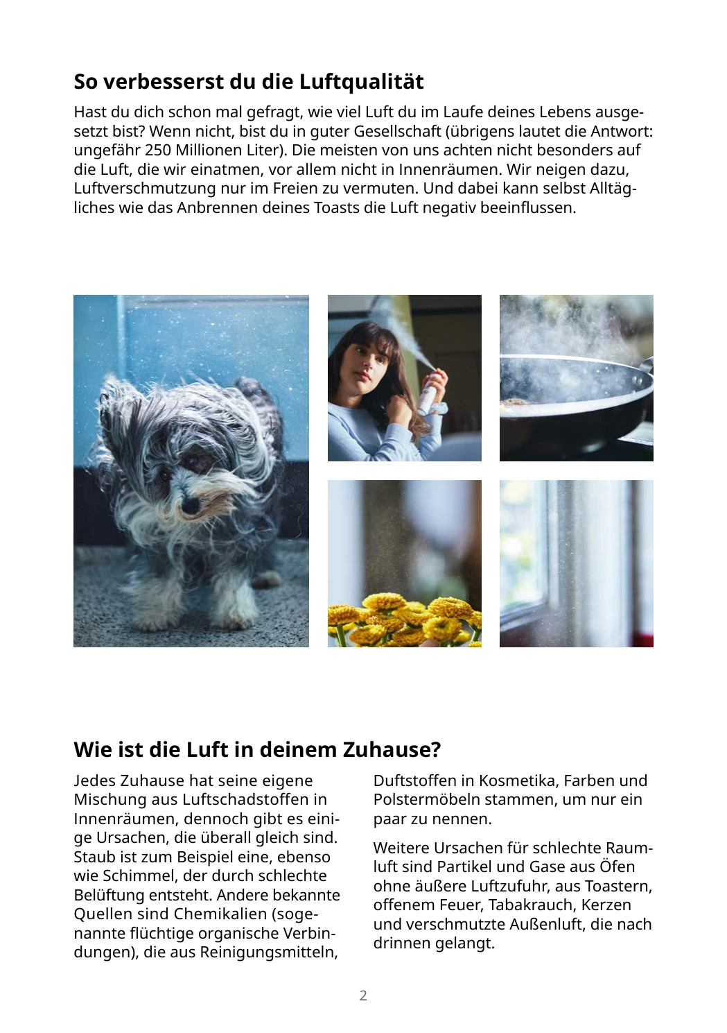 Flyer page 2