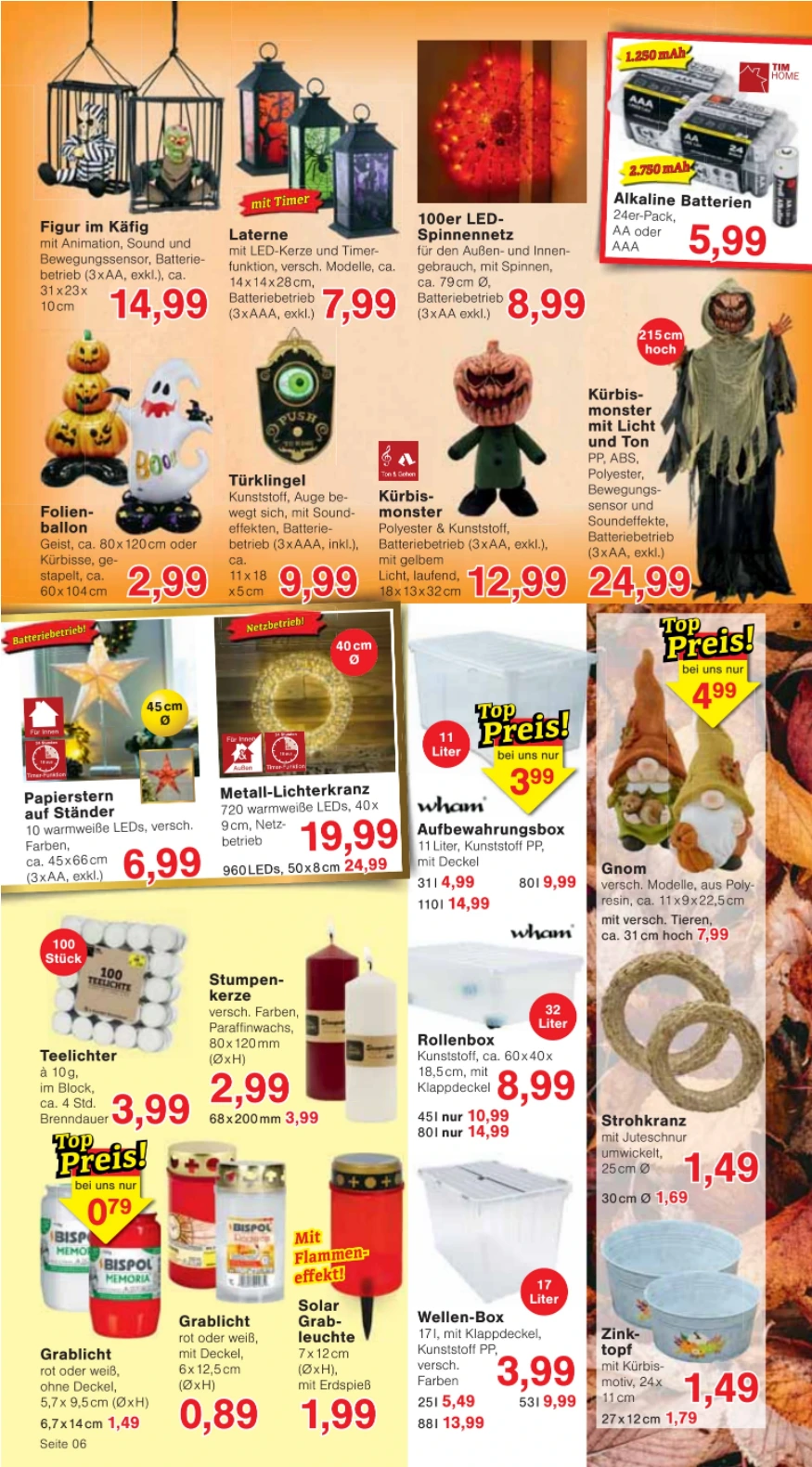 Flyer page 10