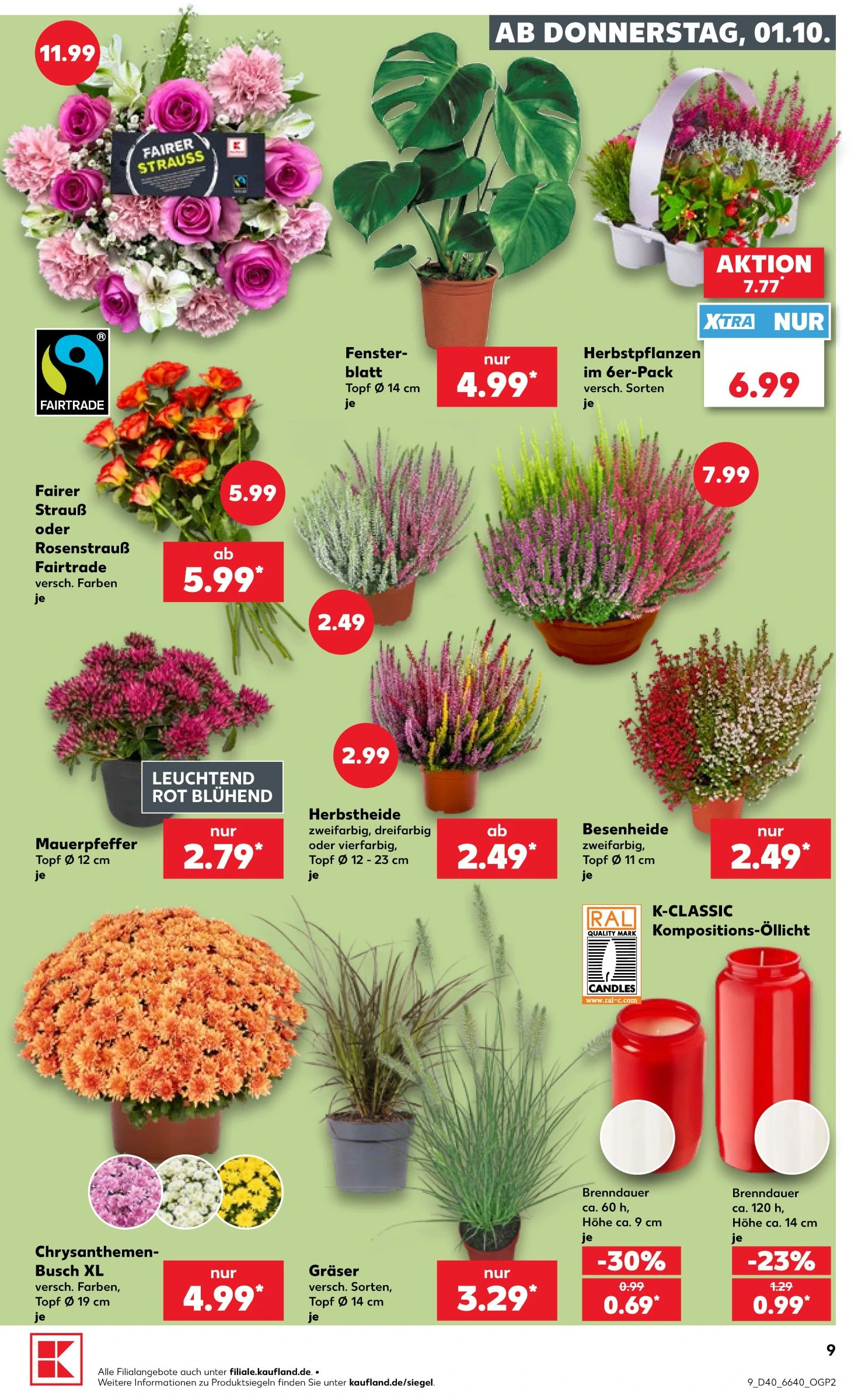 Flyer page 13
