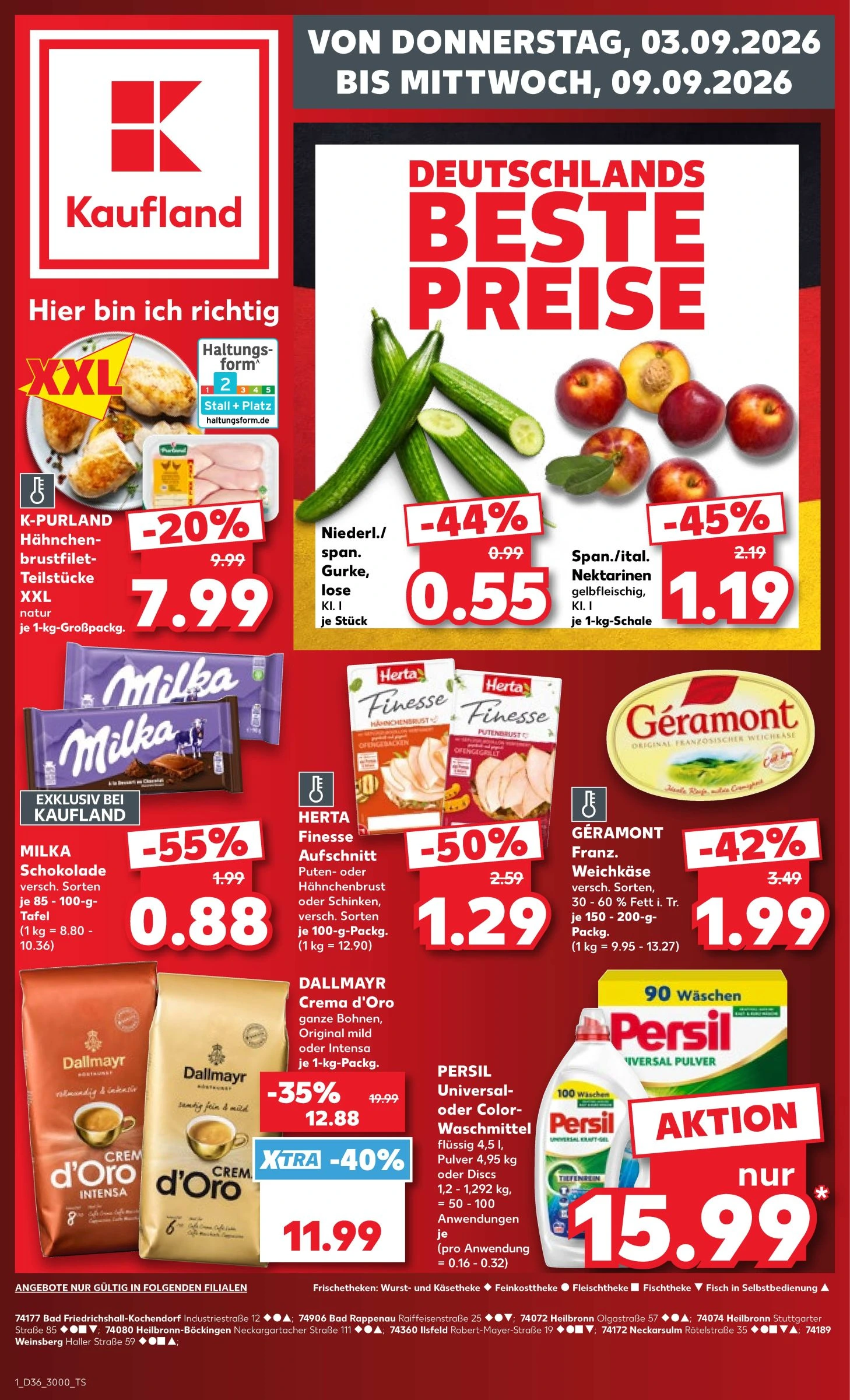 Flyer page 1