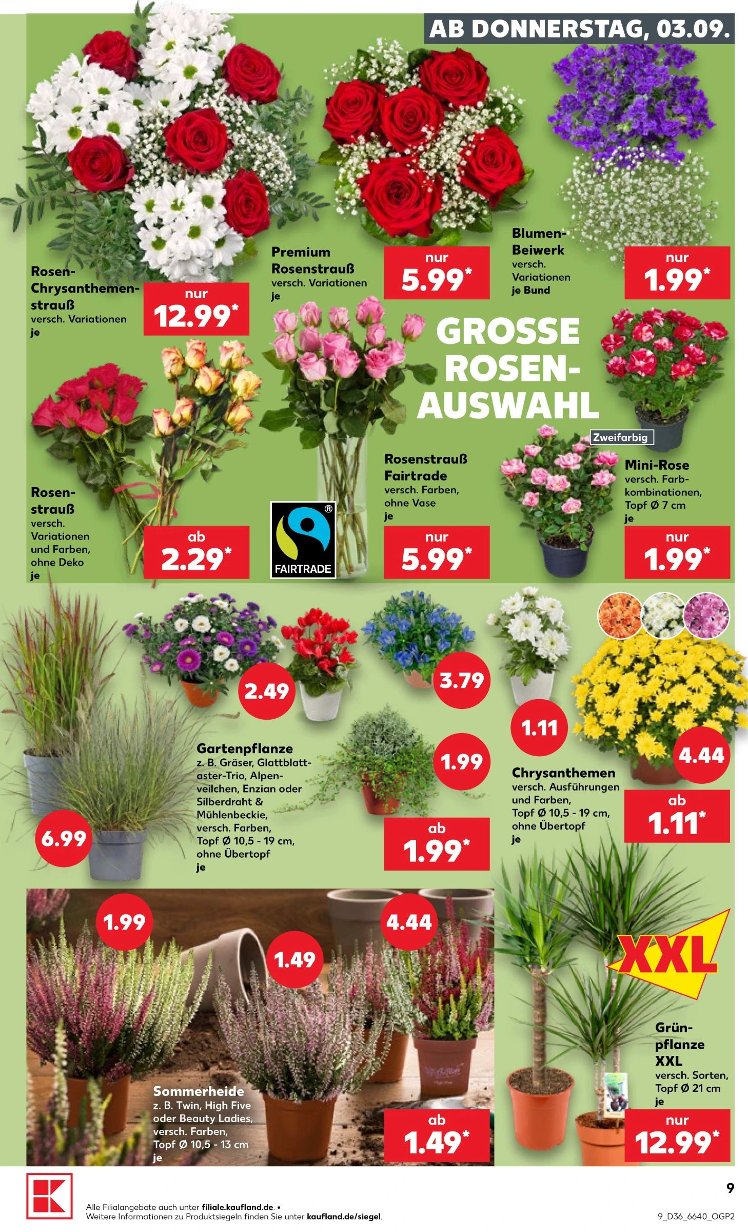 Flyer page 9