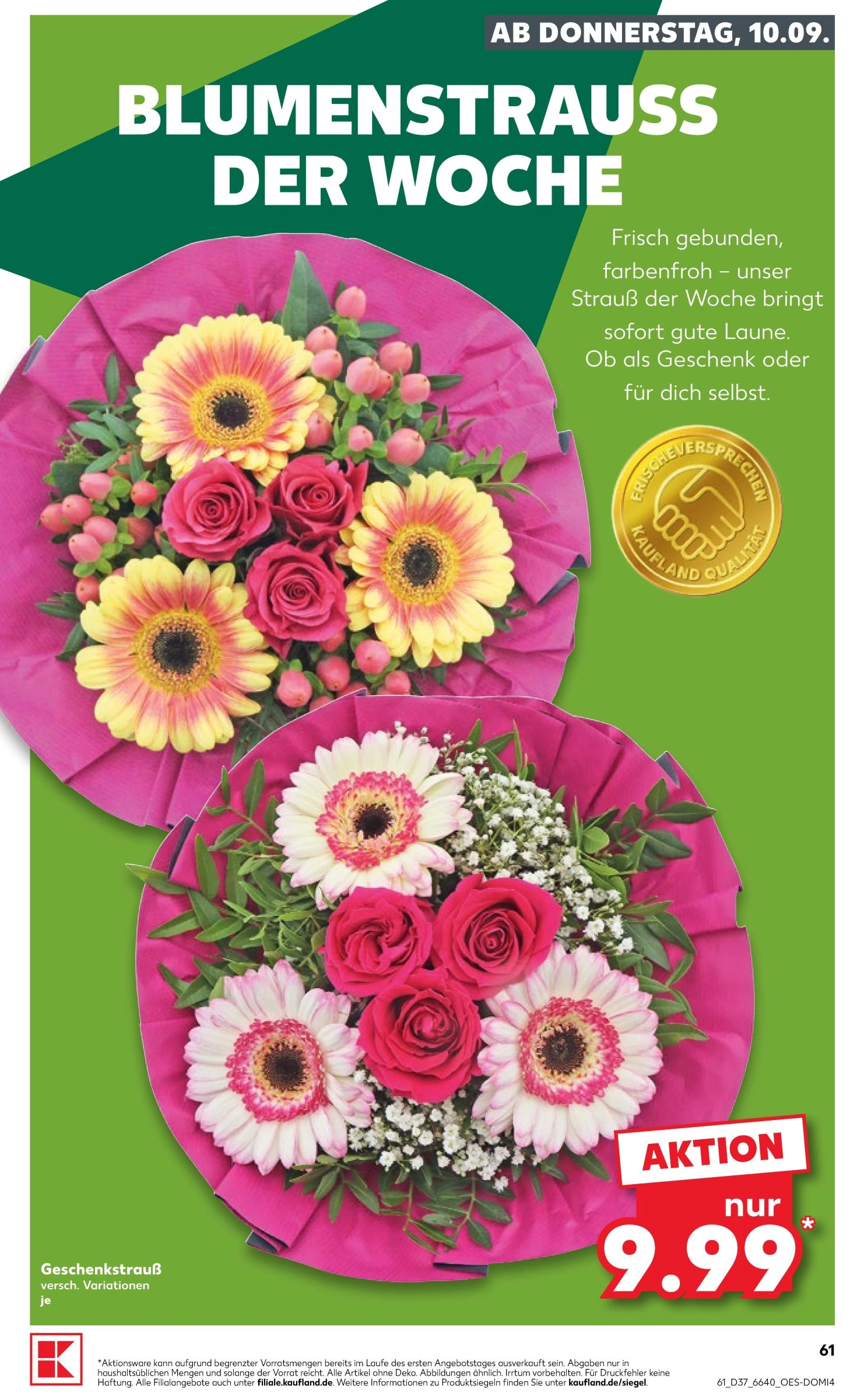 Flyer page 61