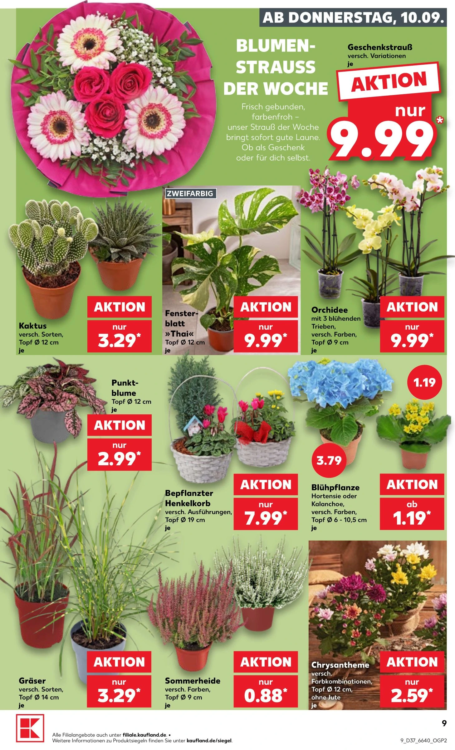 Flyer page 9