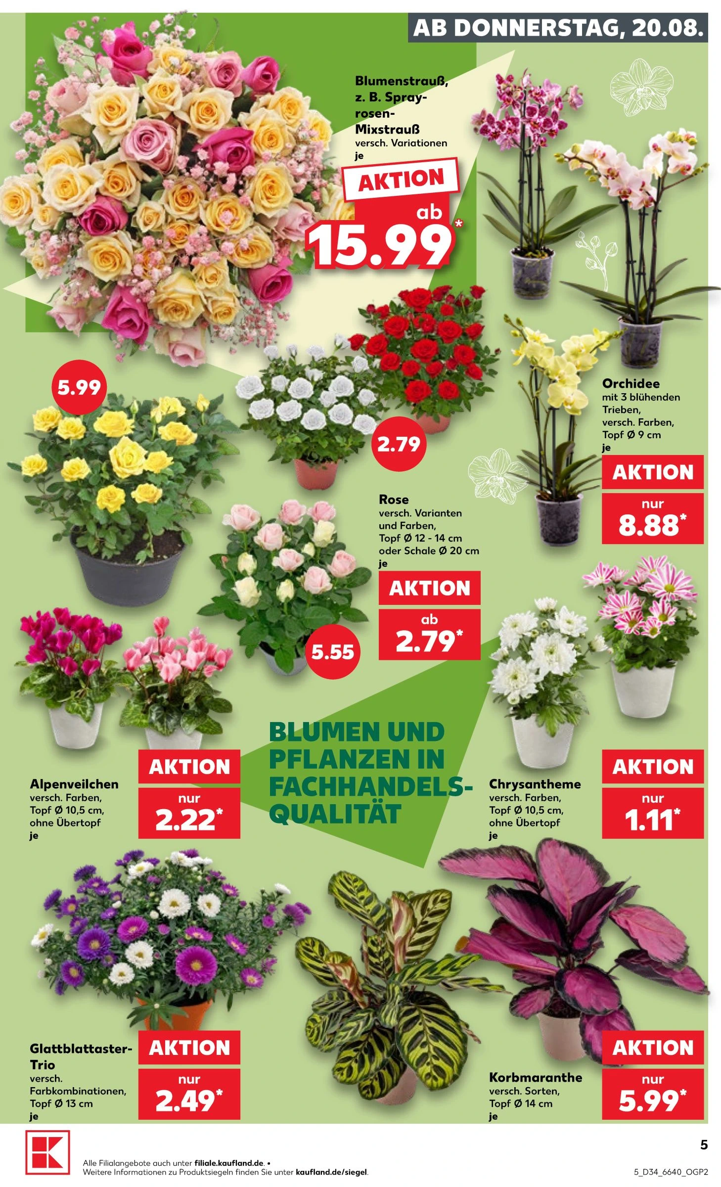 Flyer page 7