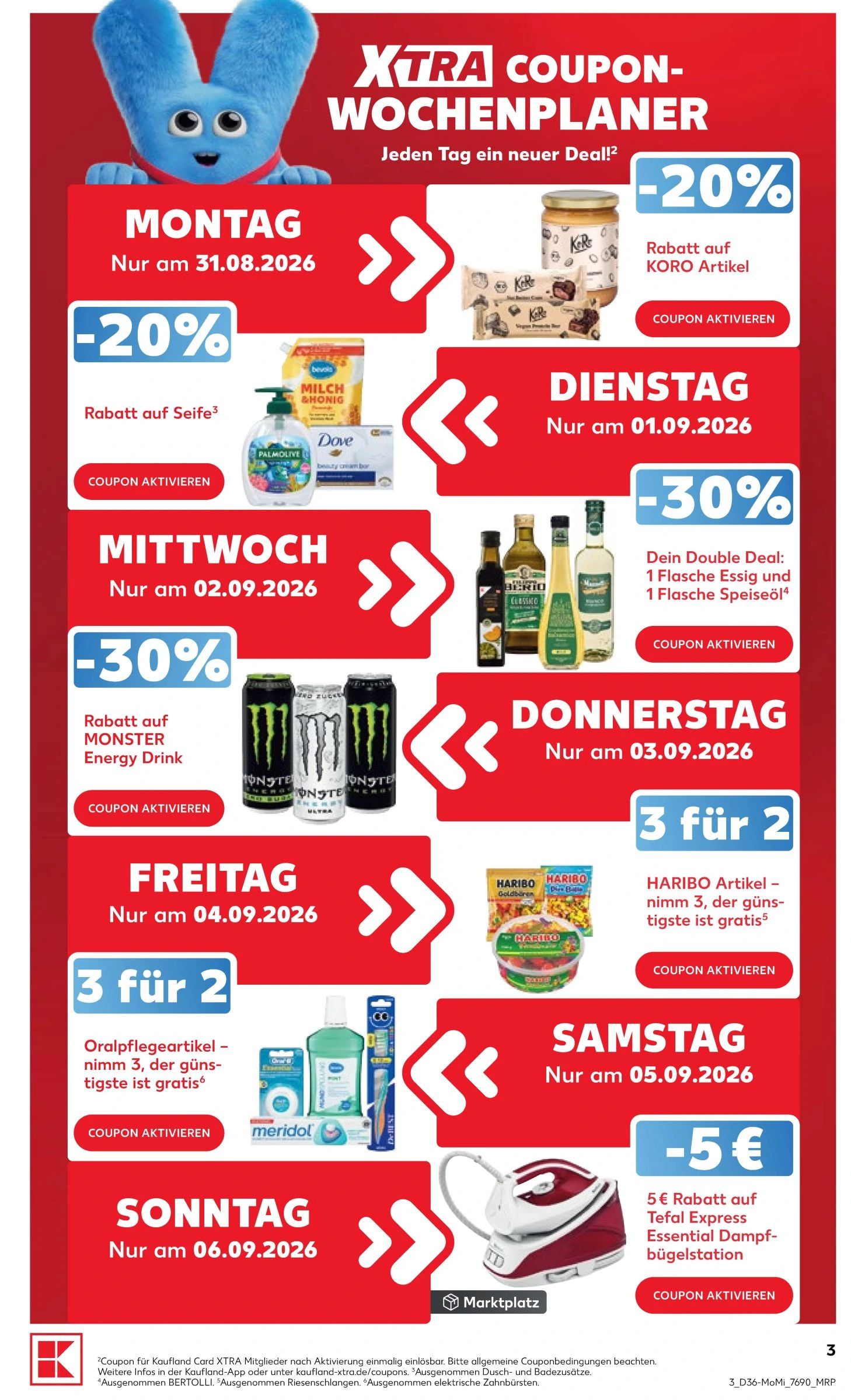 Flyer page 3