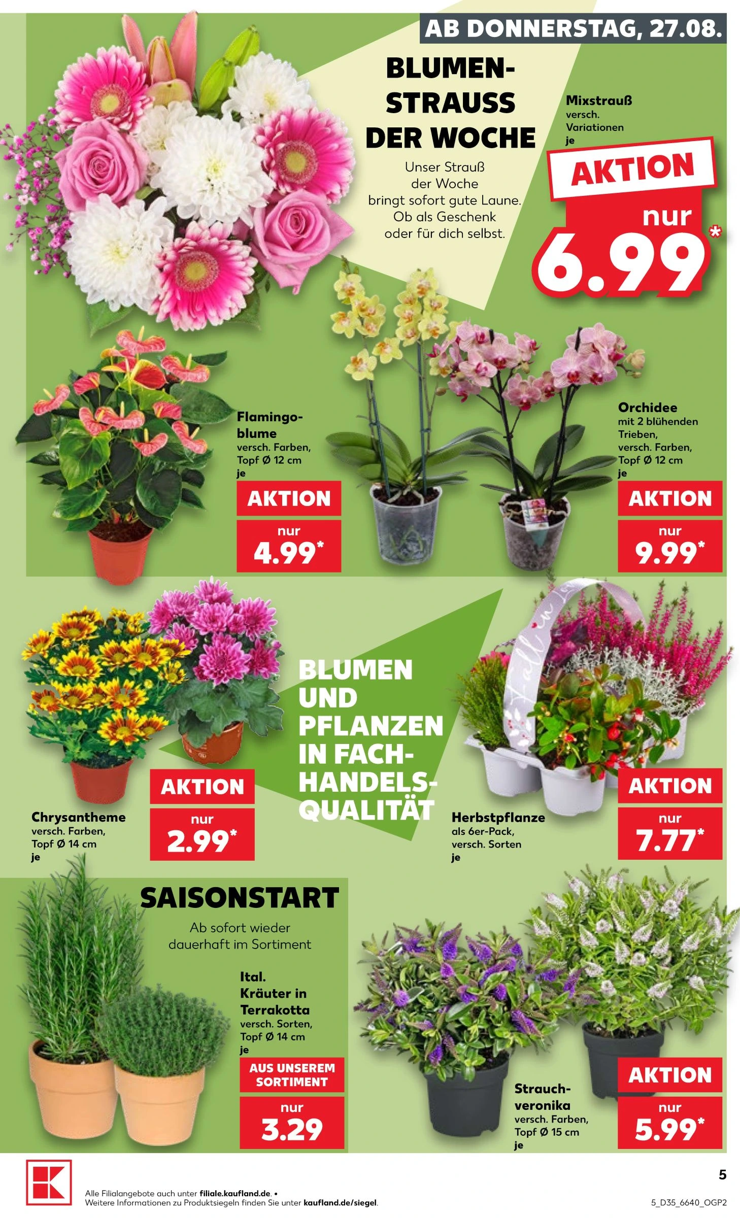 Flyer page 7