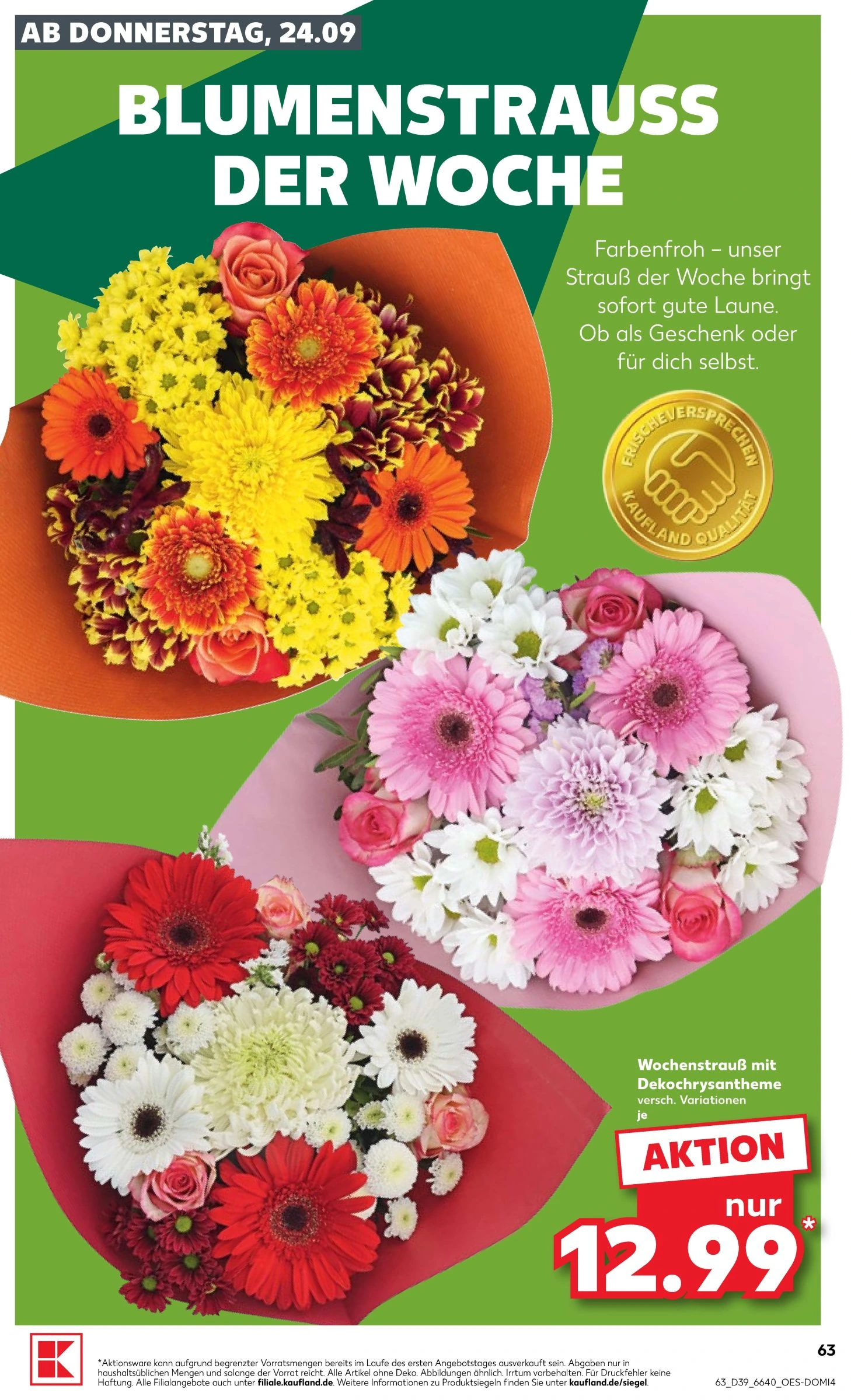 Flyer page 63