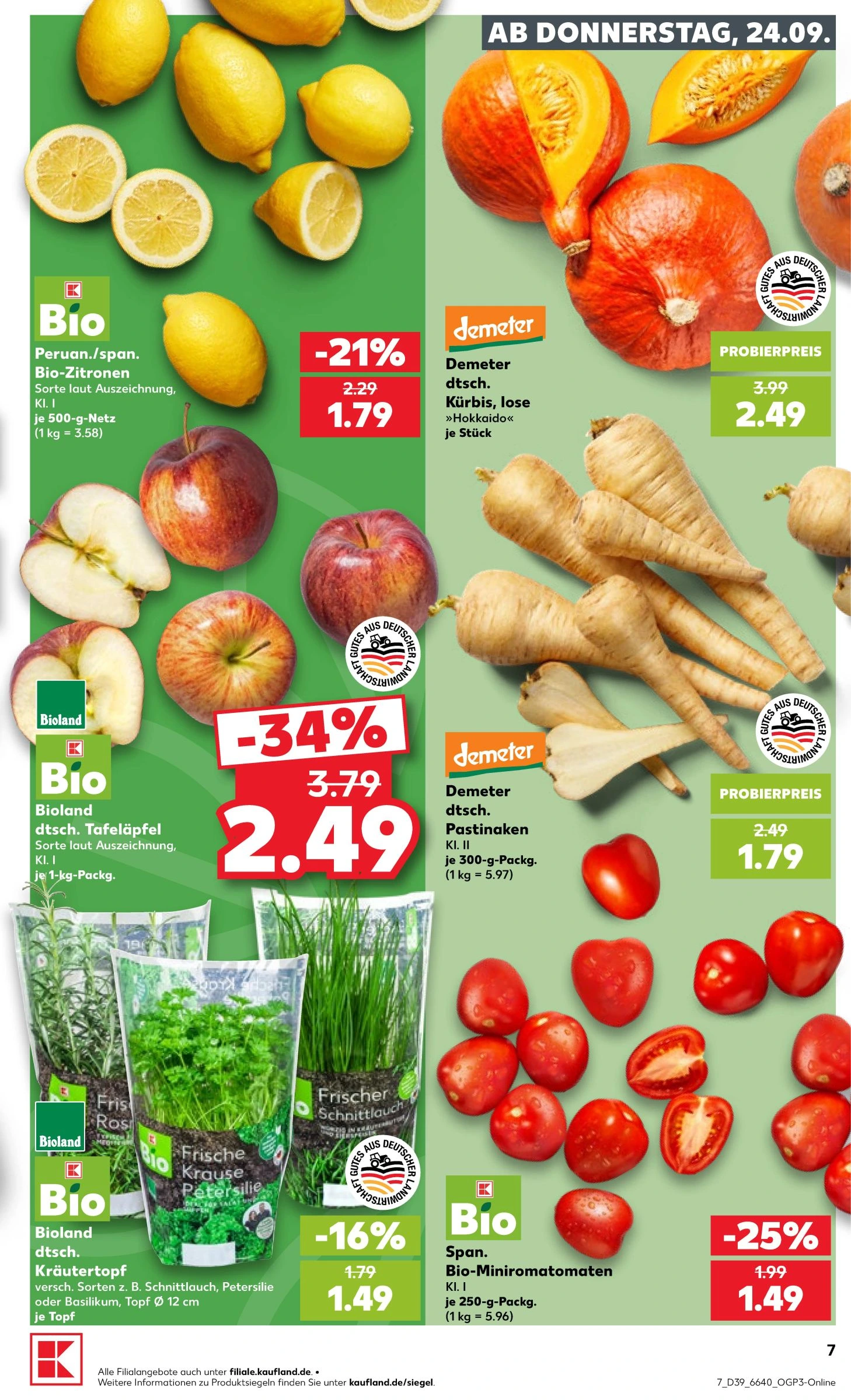 Flyer page 7