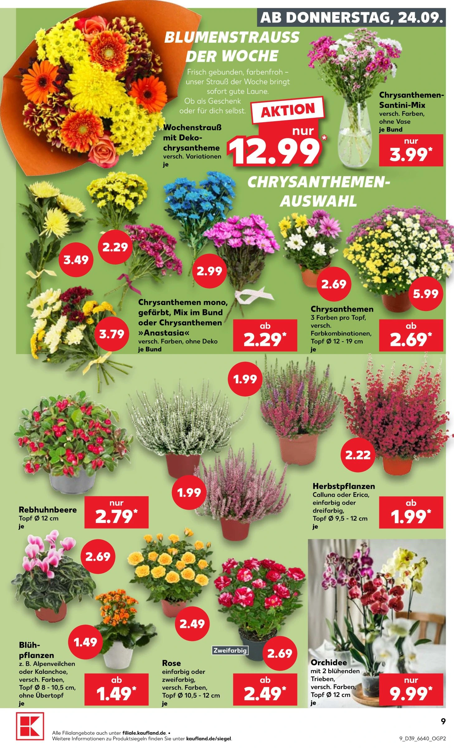 Flyer page 9