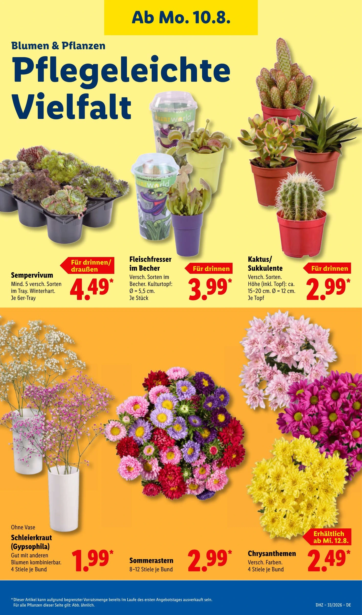 Flyer page 23
