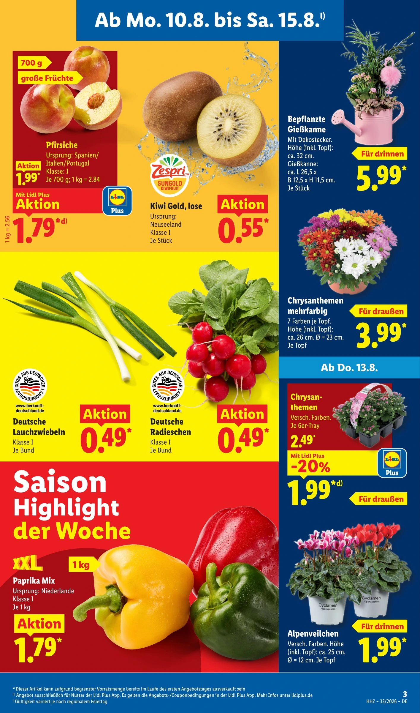 Flyer page 3