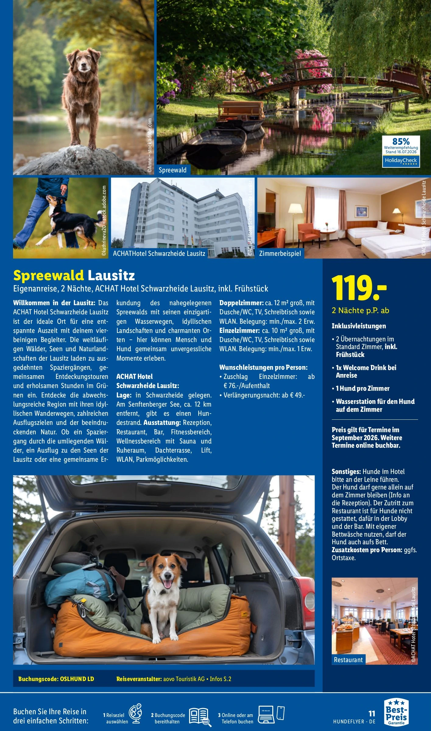Flyer page 11