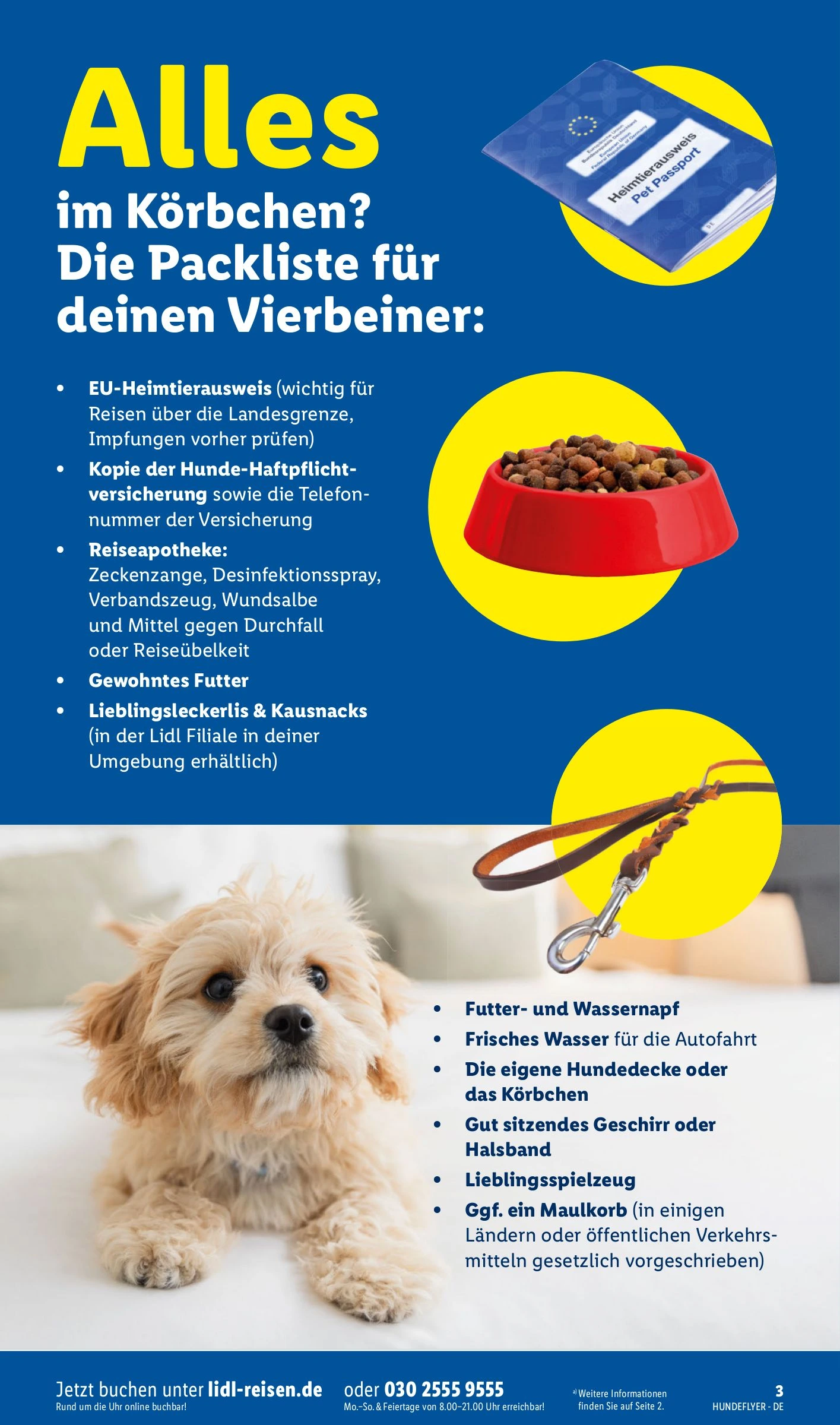 Flyer page 3