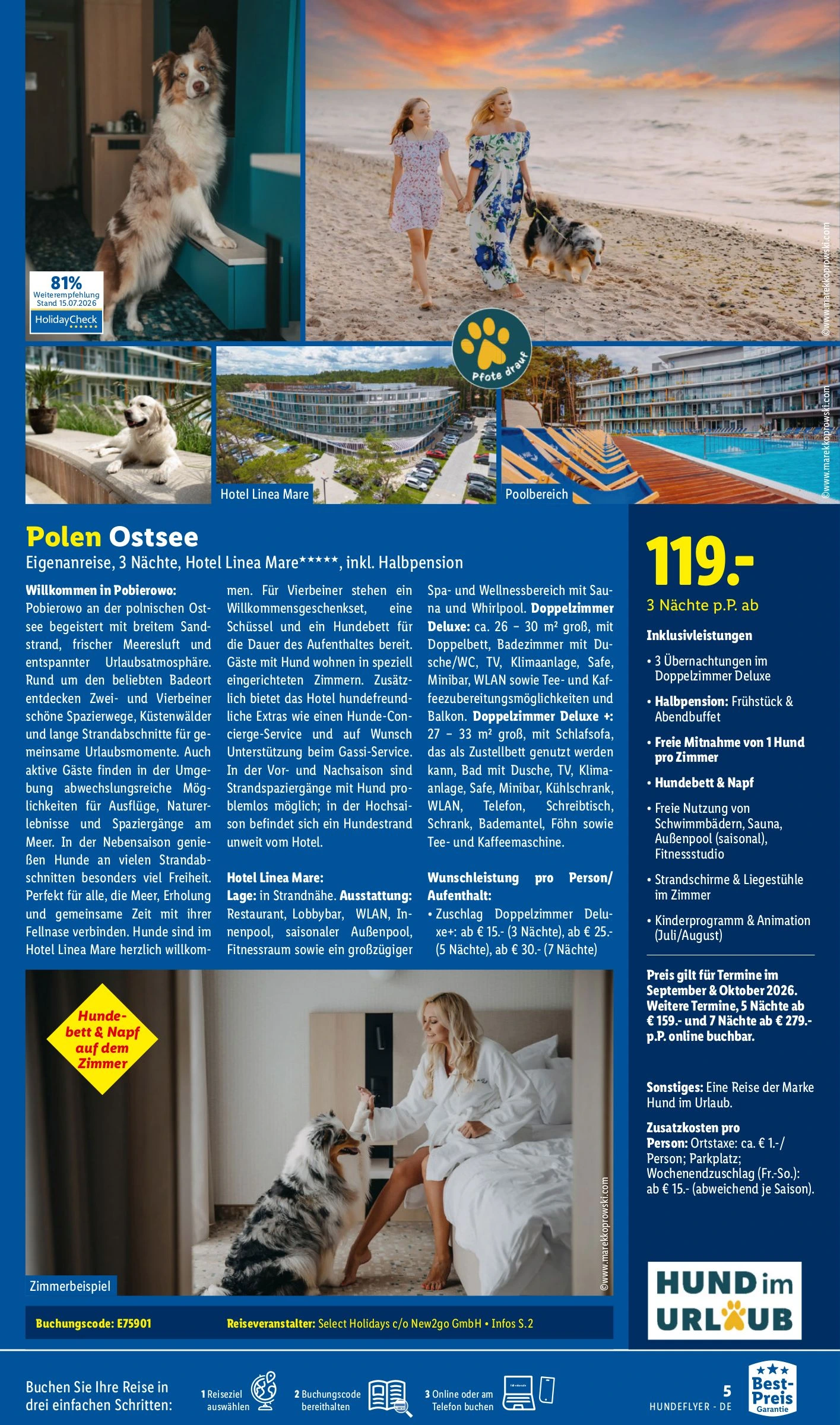 Flyer page 5