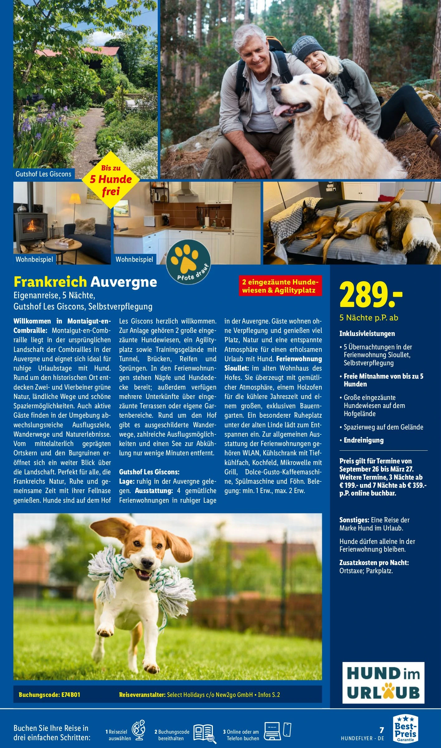 Flyer page 7