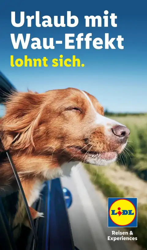 Prospekt Urlaub mit Hund