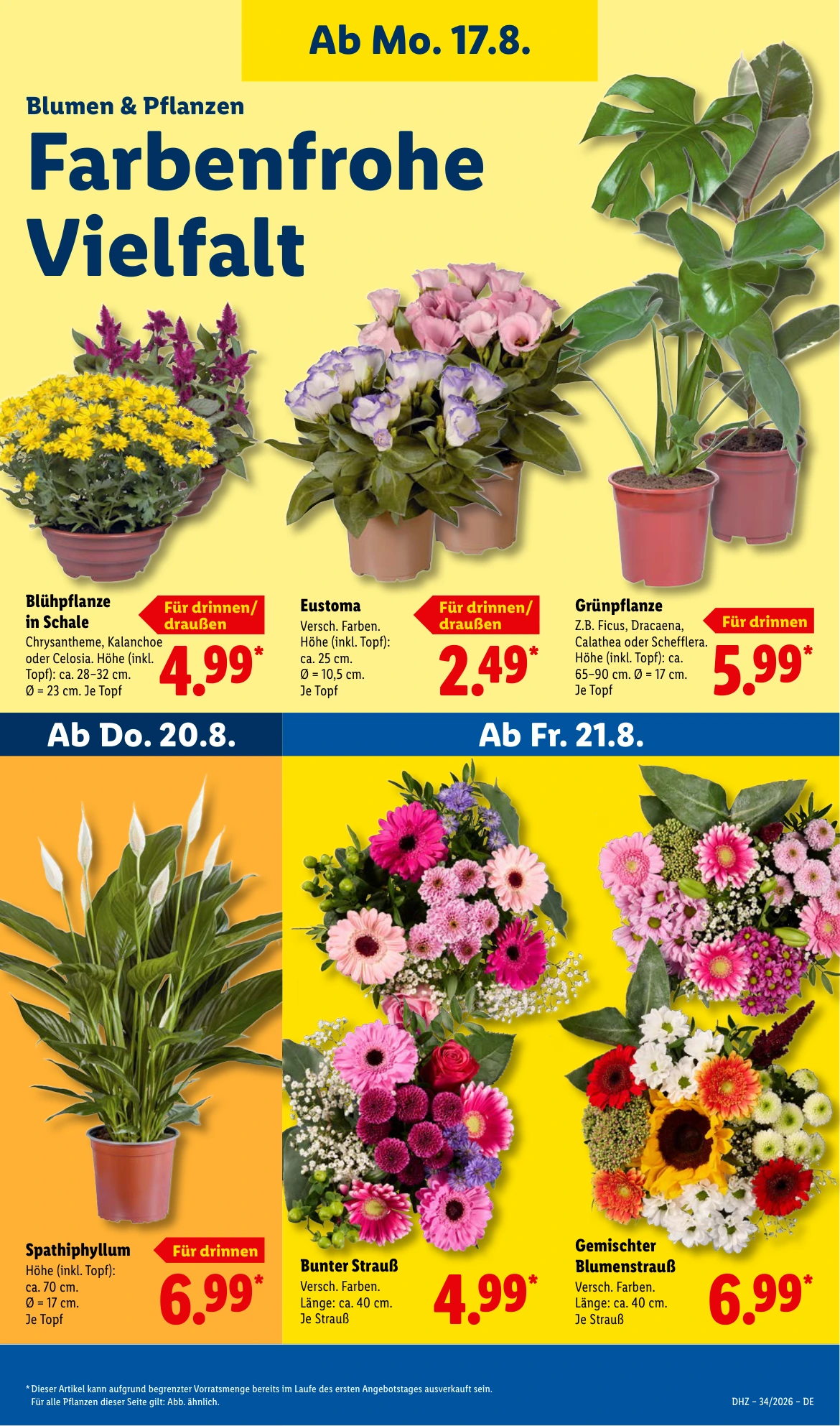 Flyer page 25