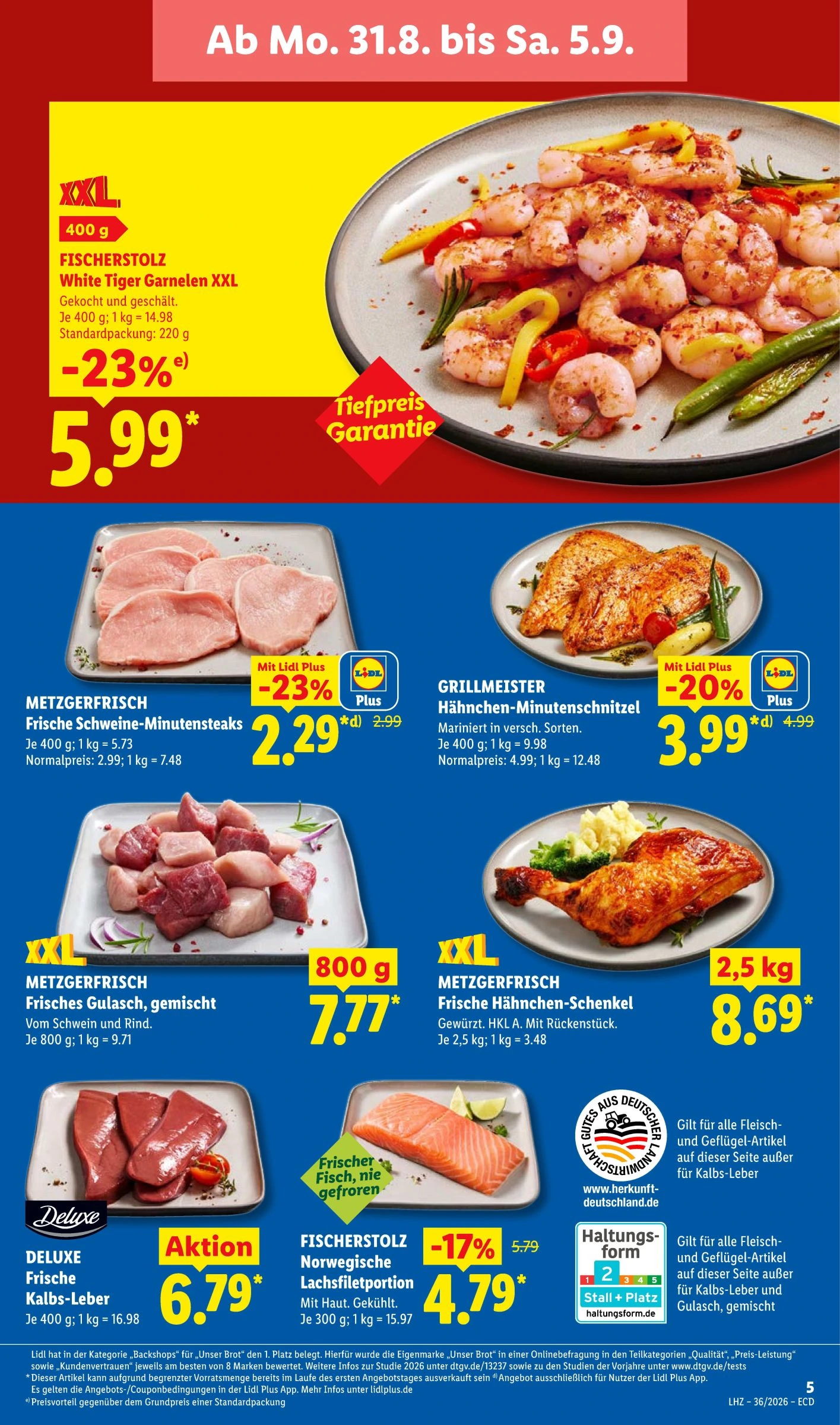 Flyer page 13