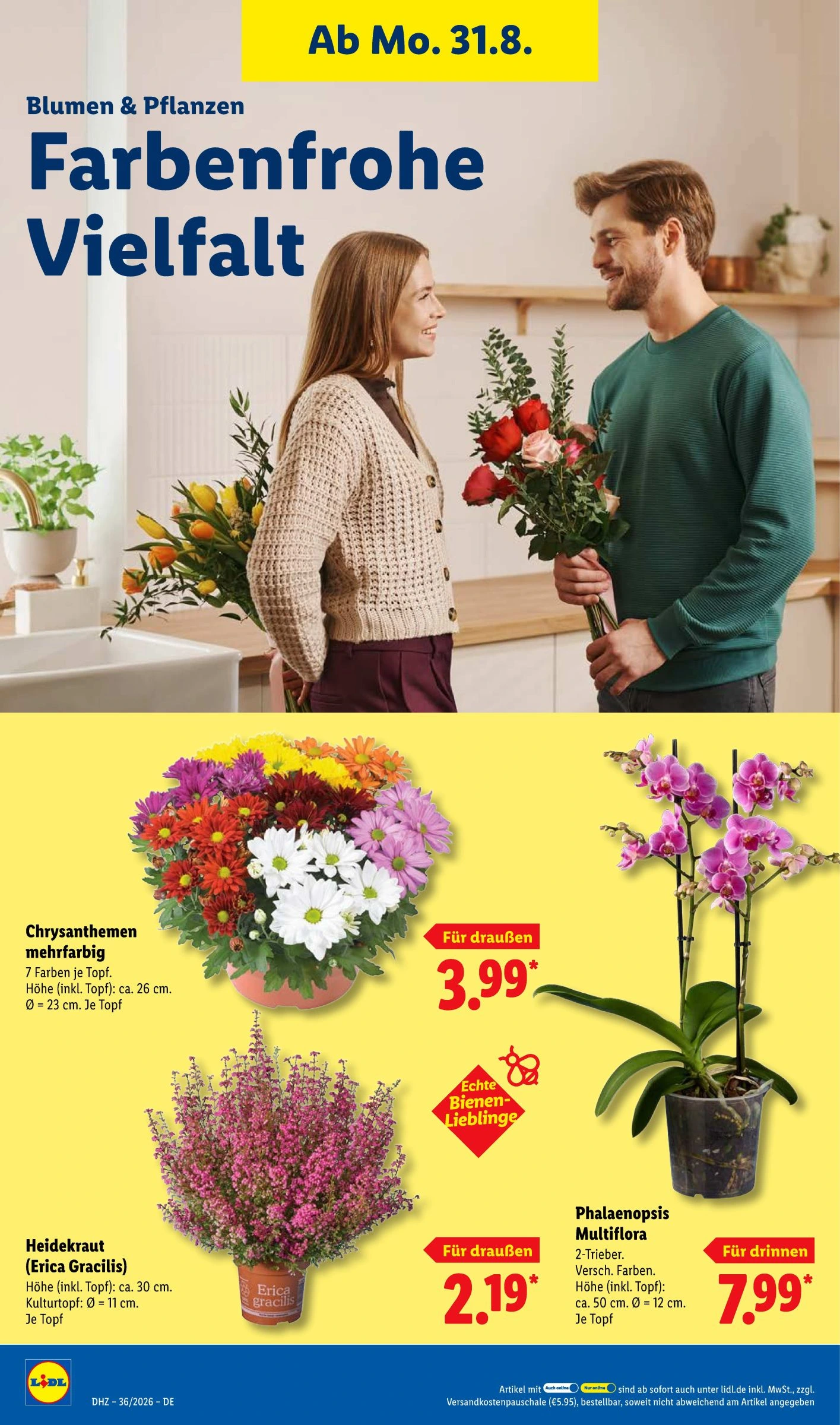 Flyer page 26