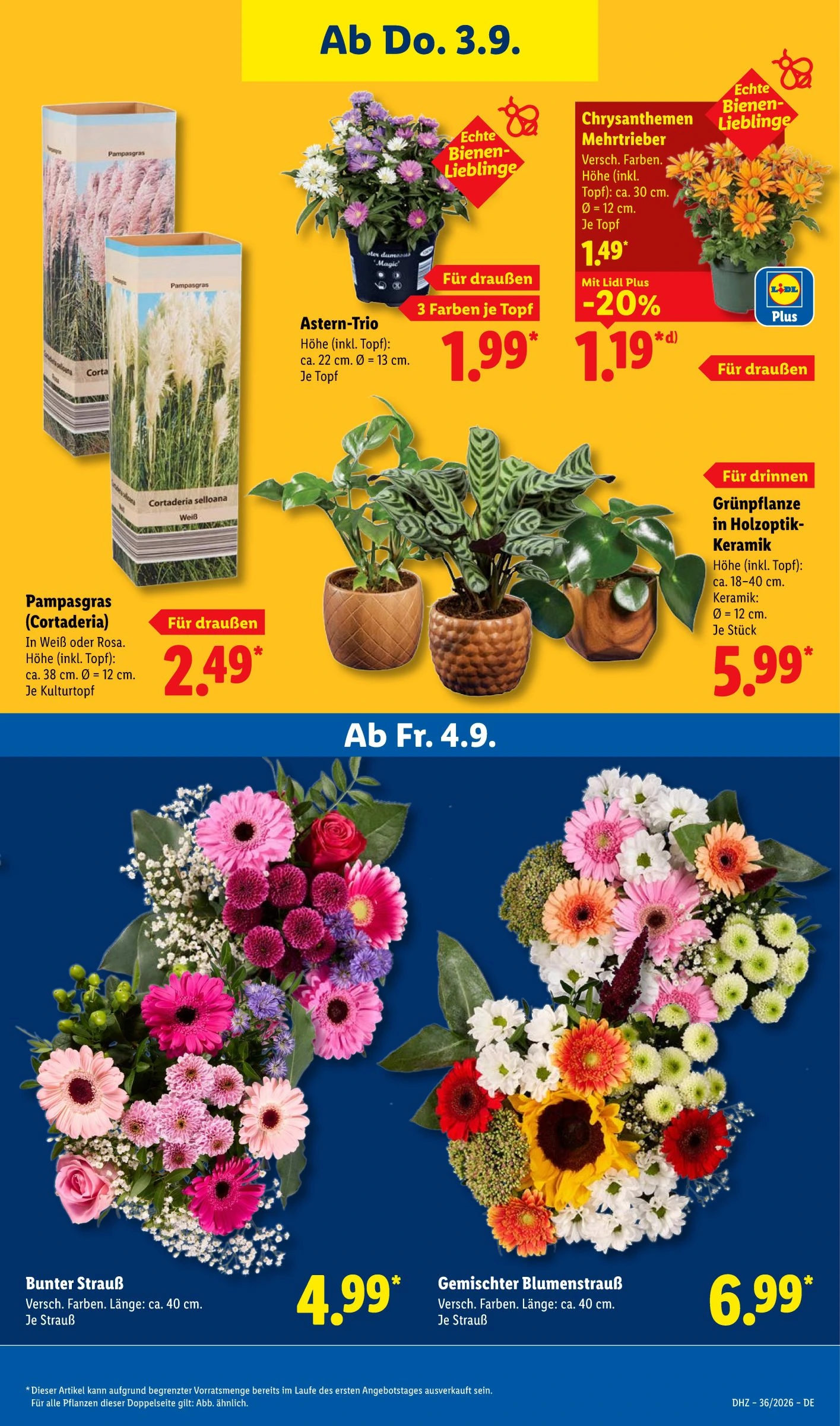 Flyer page 27