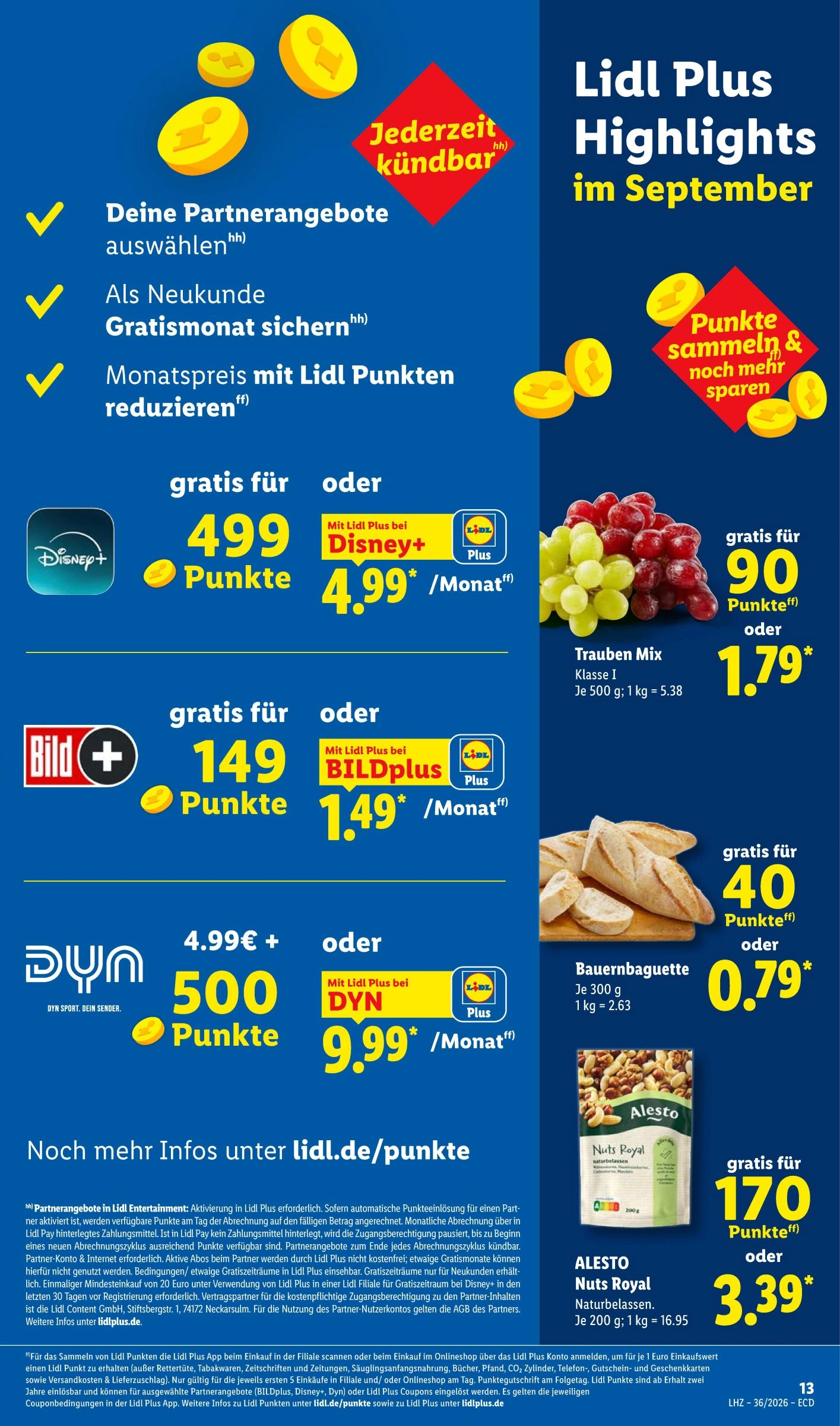 Flyer page 29