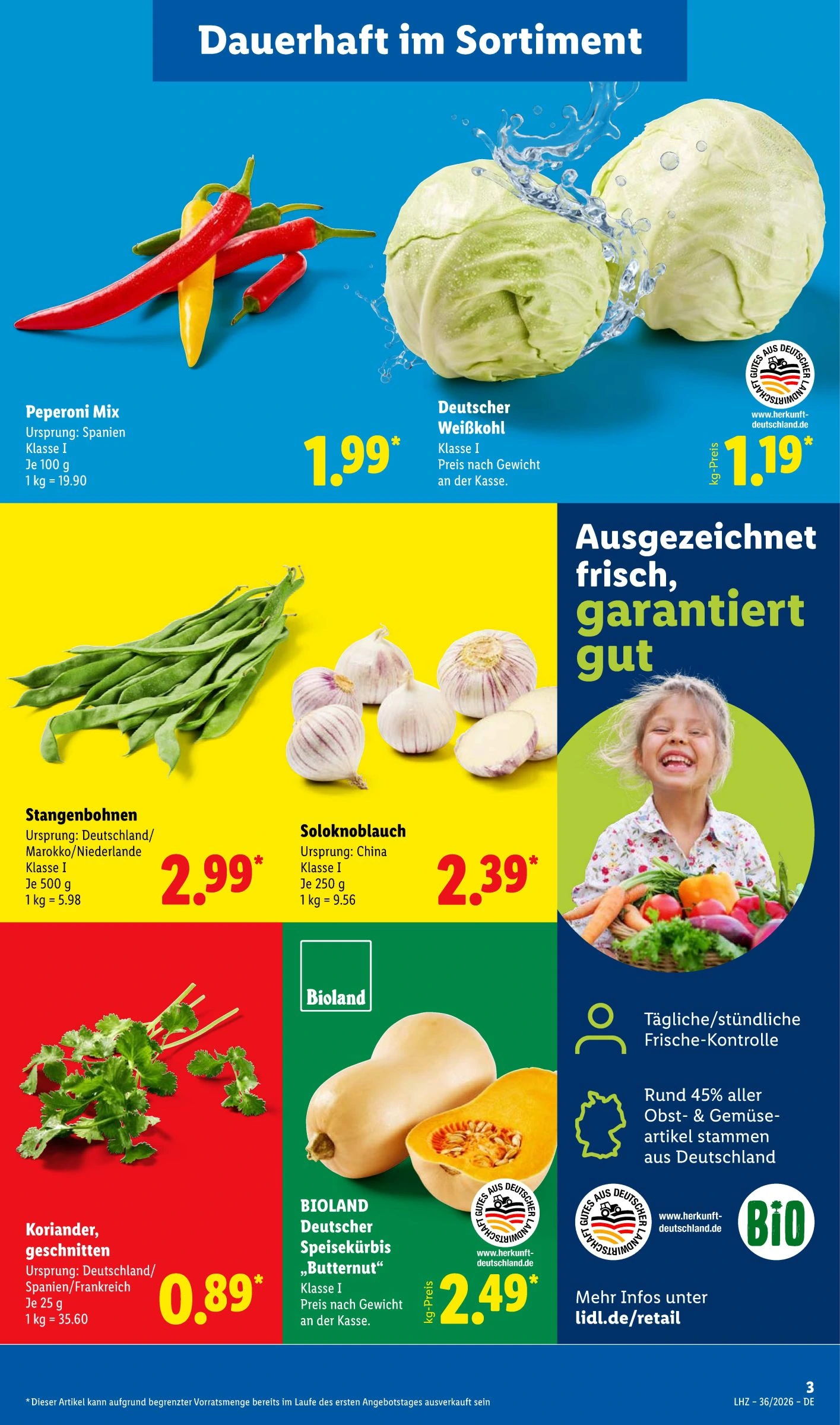 Flyer page 3
