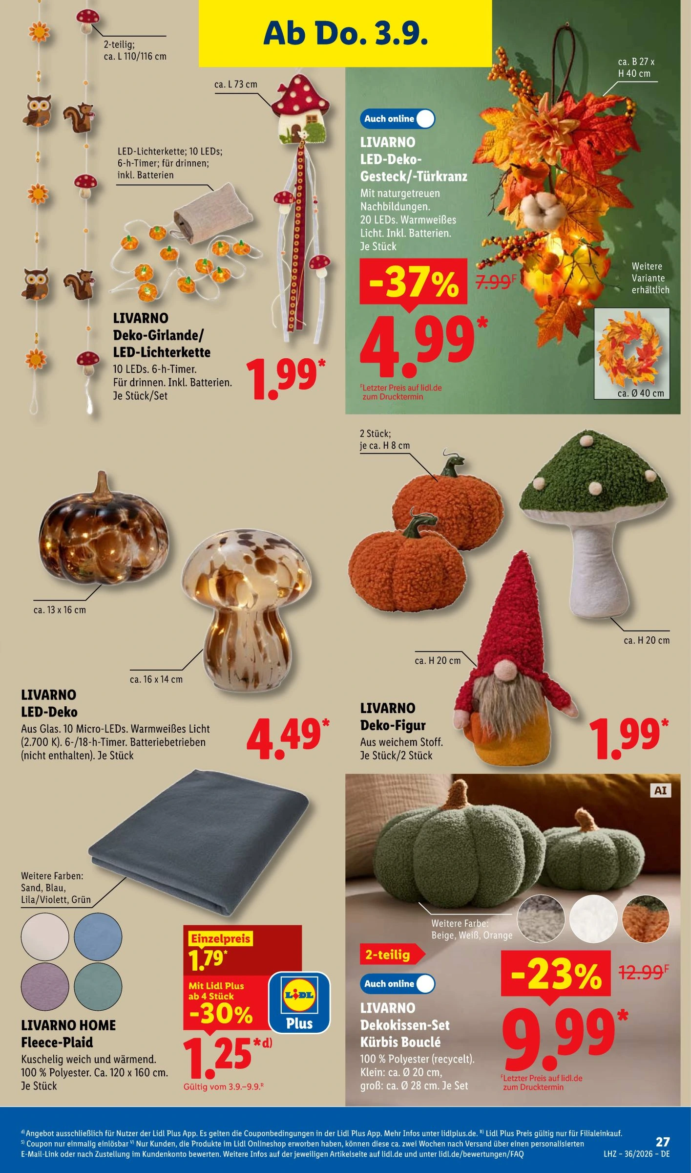 Flyer page 45