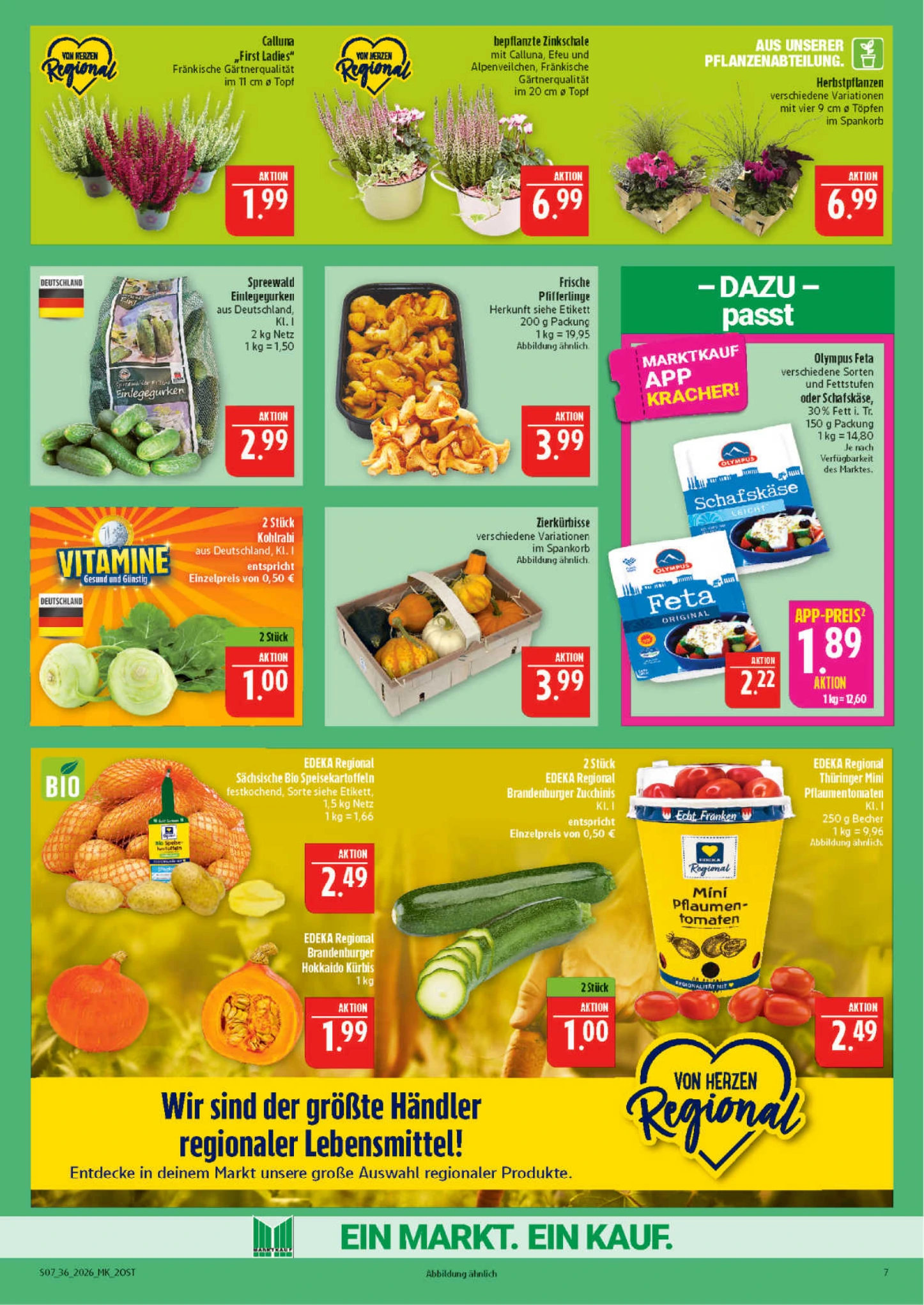 Flyer page 7