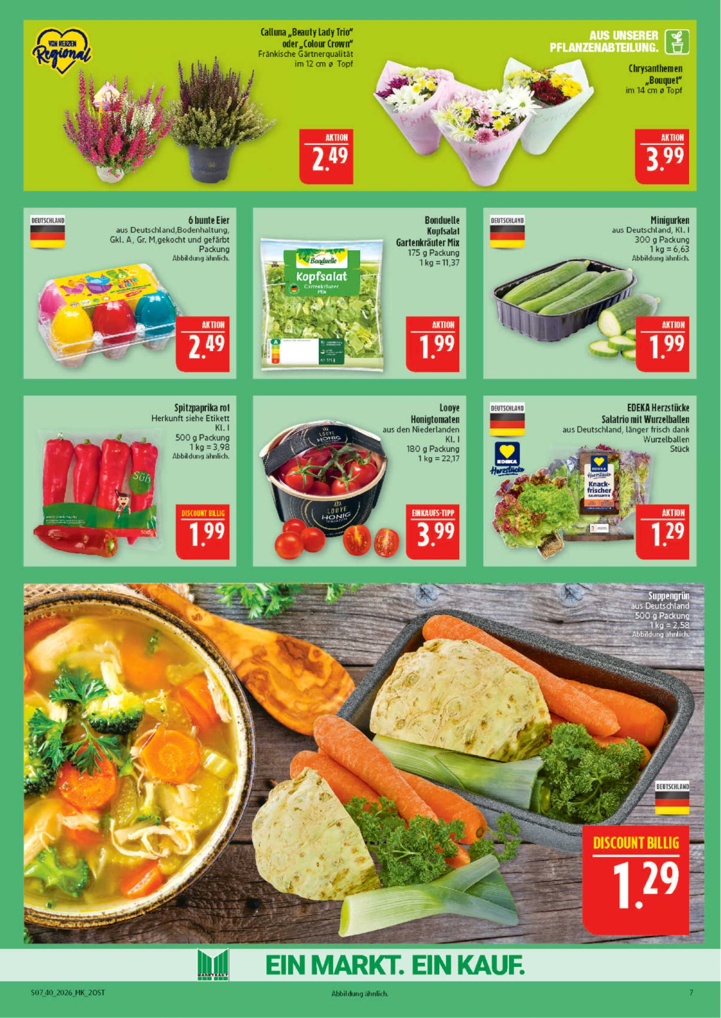 Flyer page 7