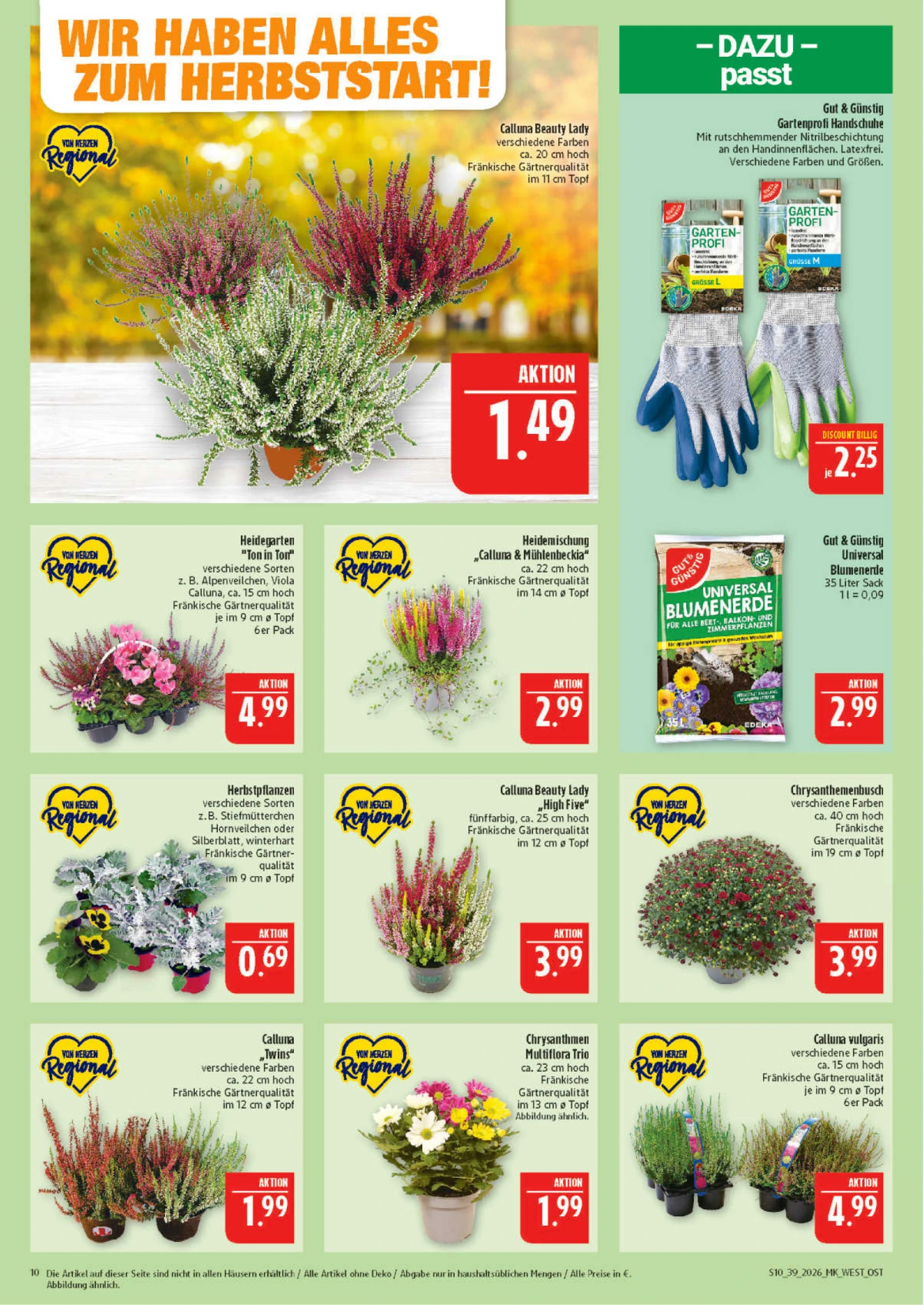 Flyer page 10
