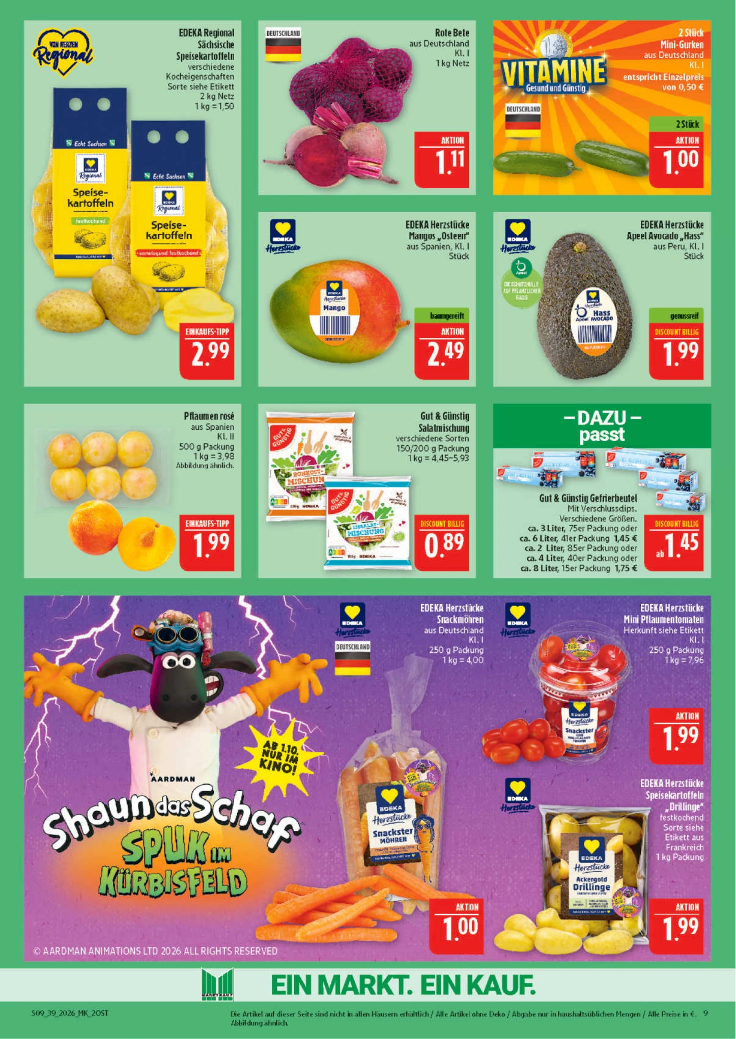 Flyer page 9