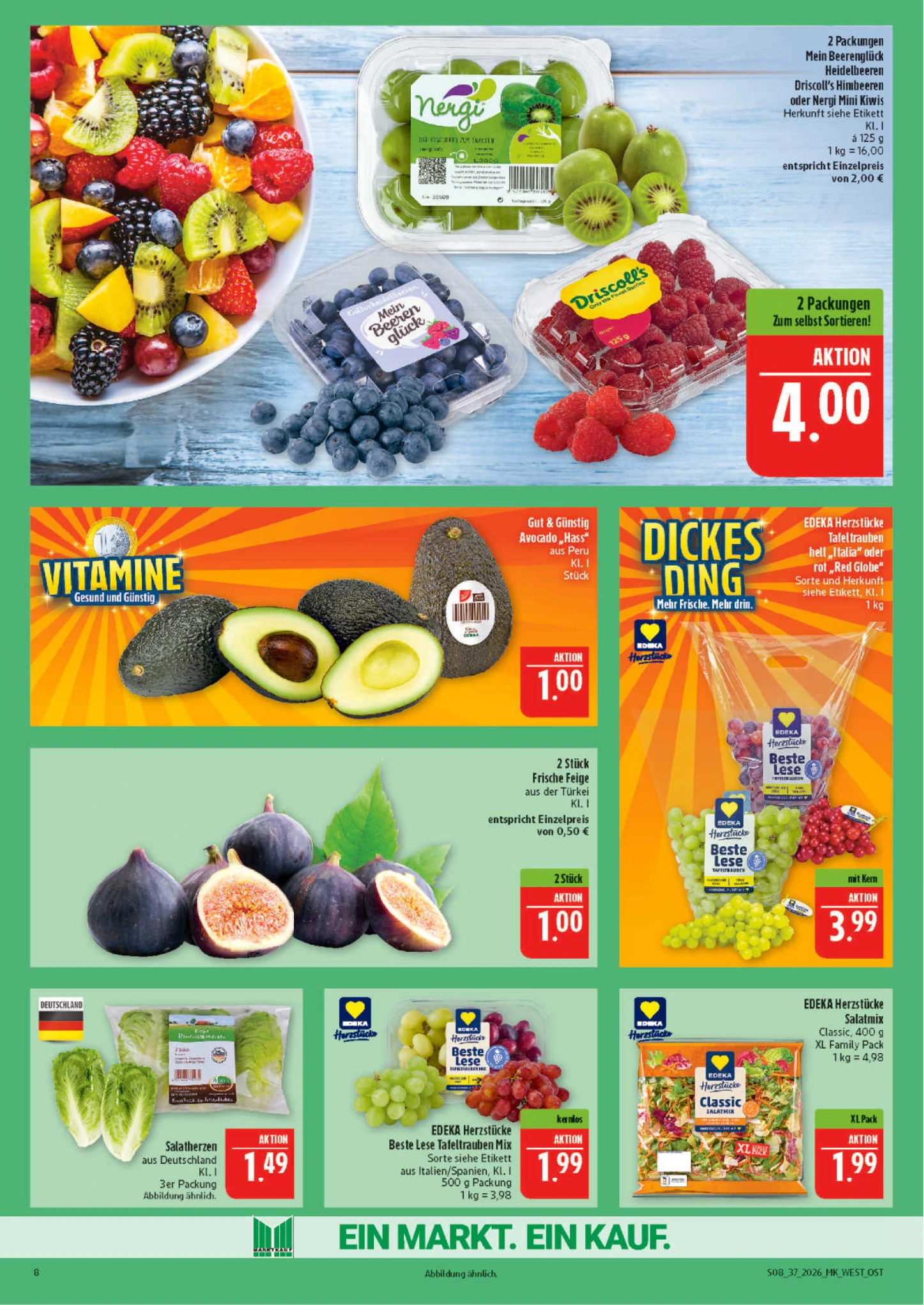 Flyer page 8