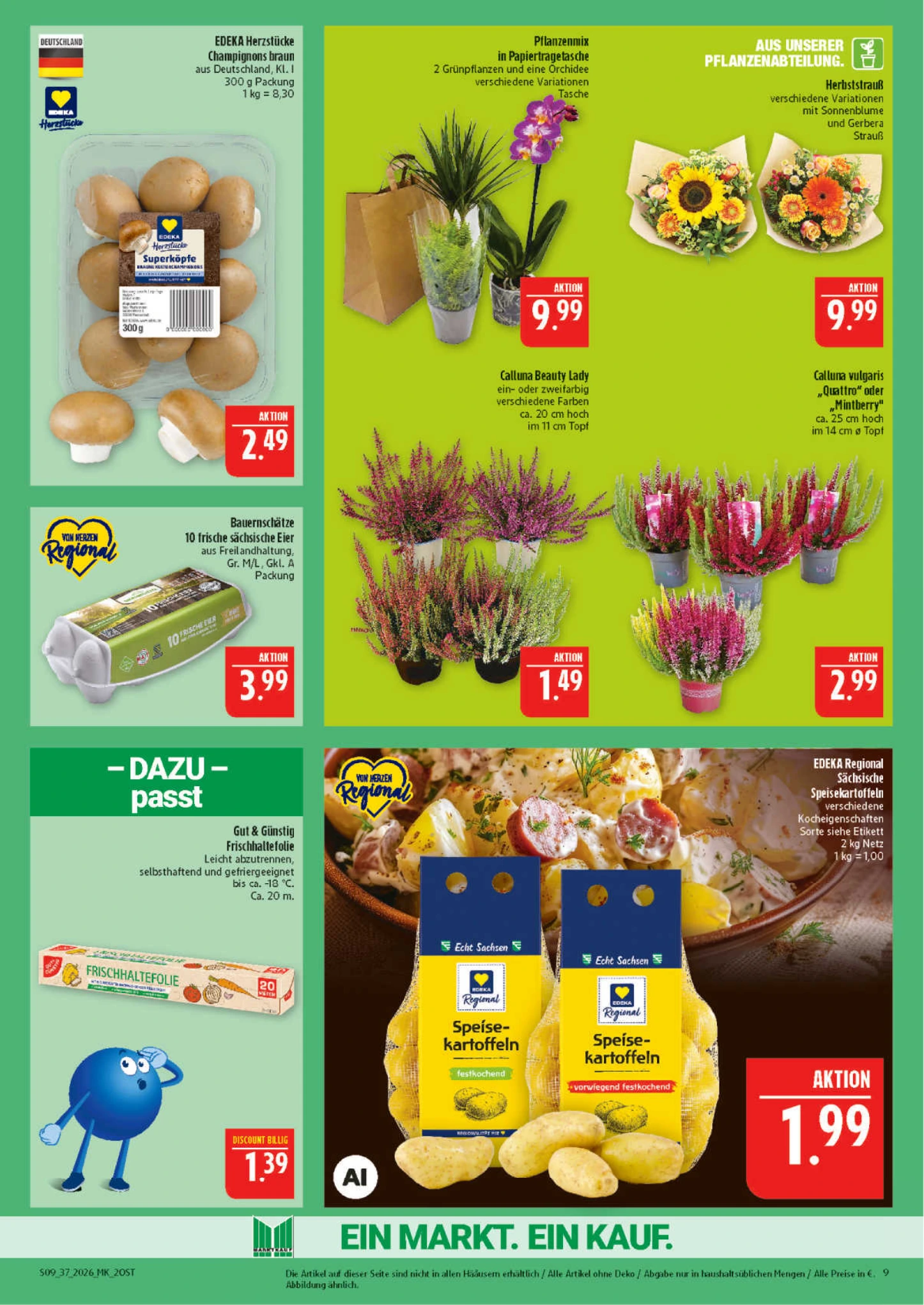 Flyer page 9