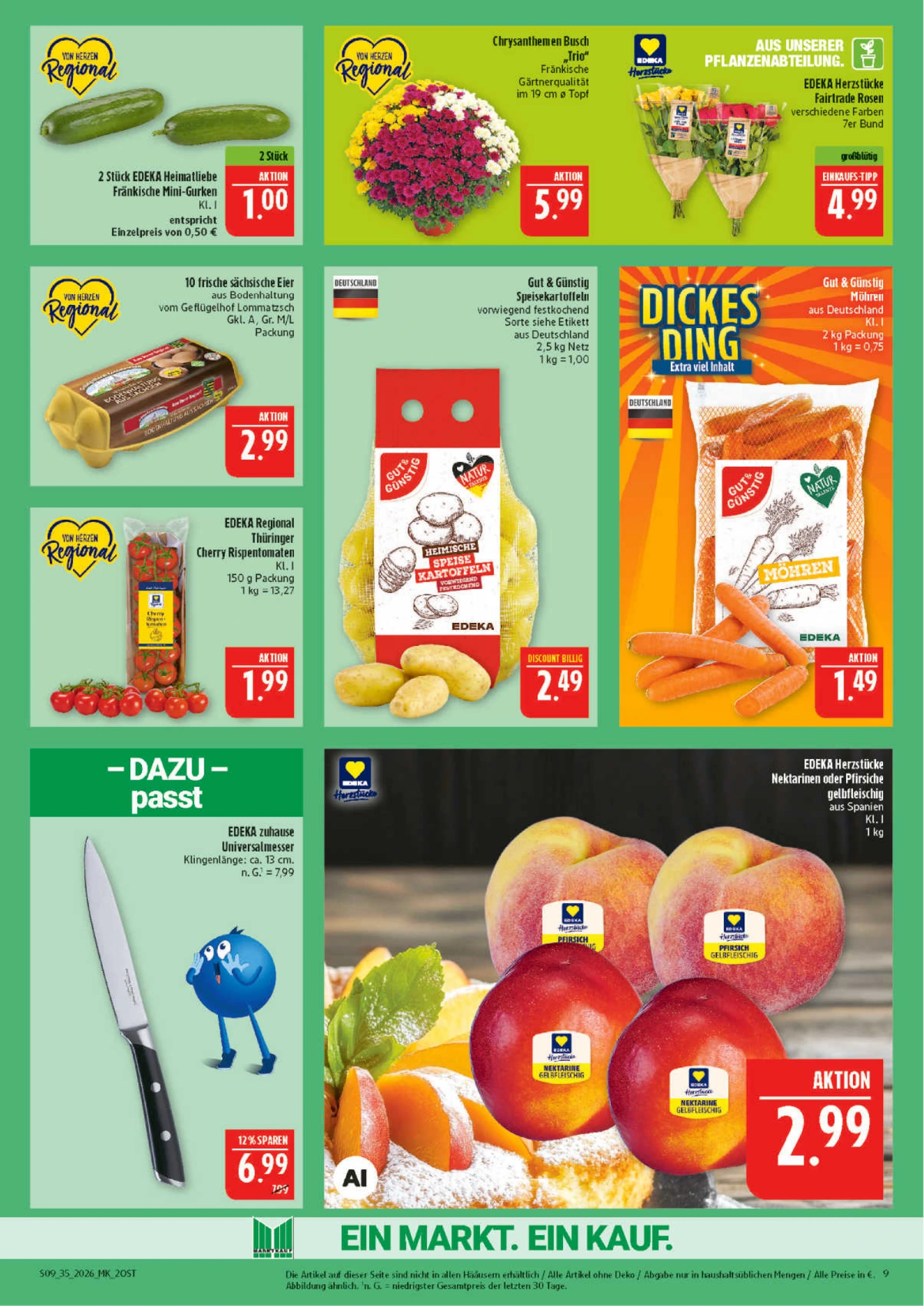 Flyer page 9