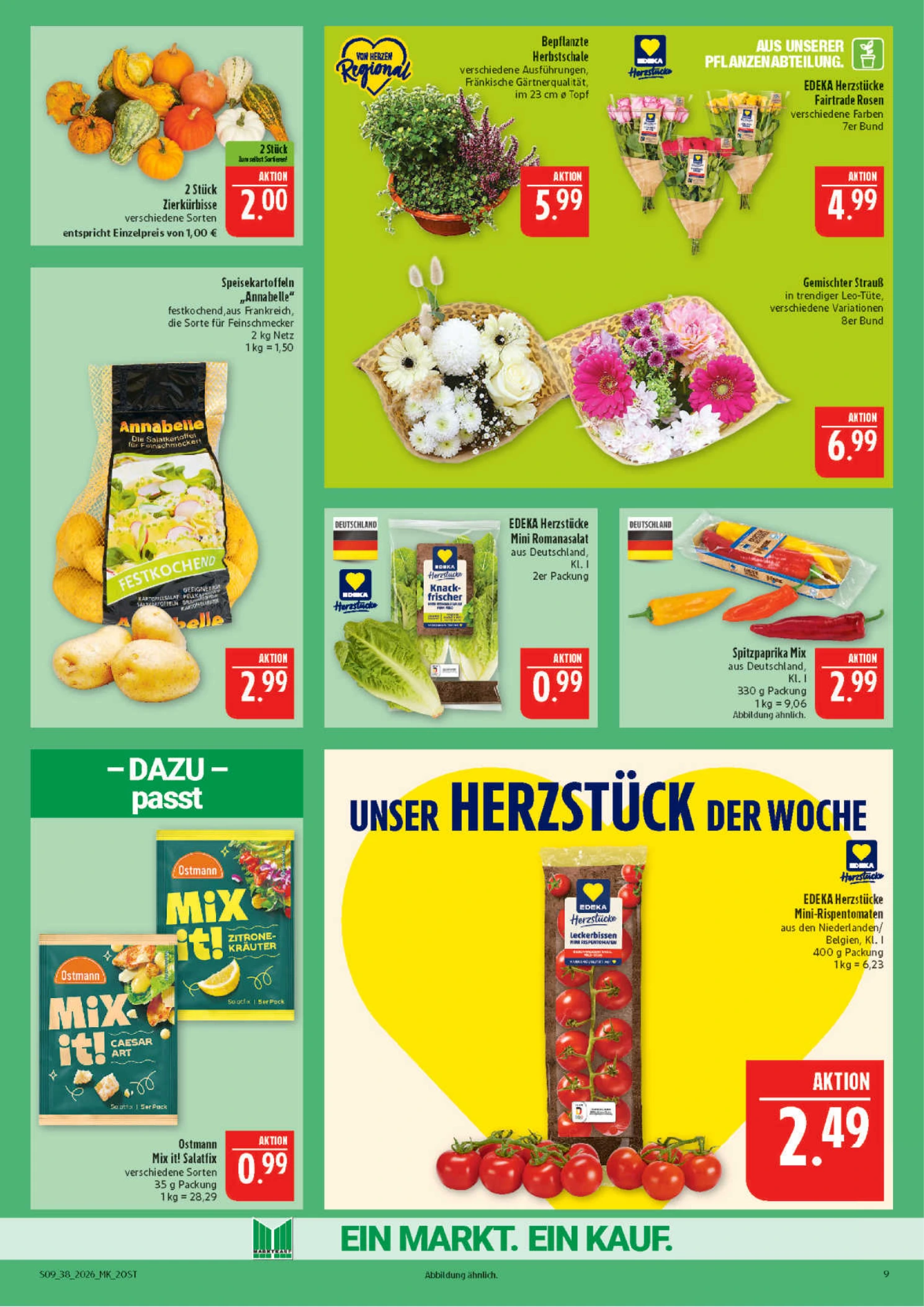 Flyer page 9