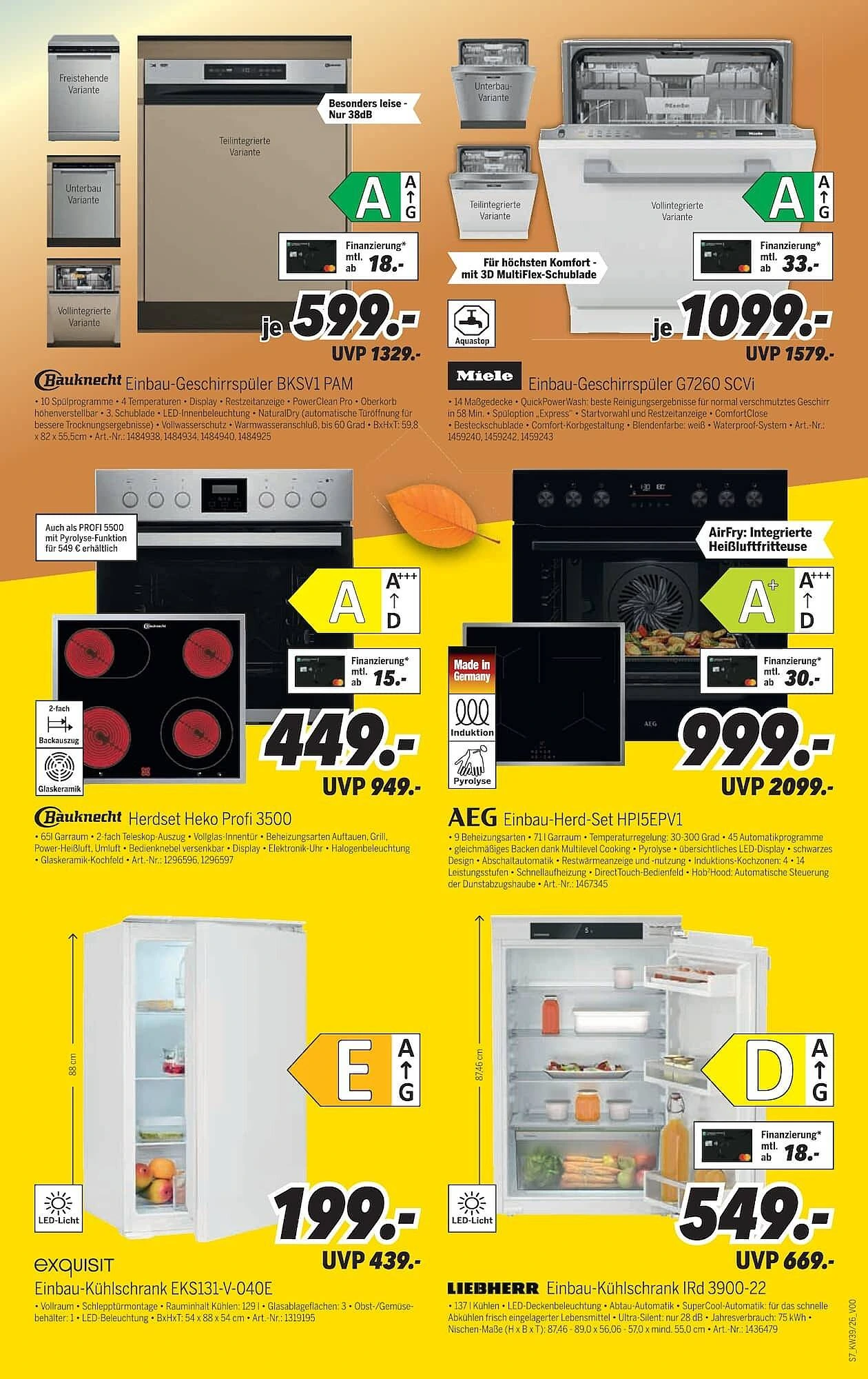Flyer page 7