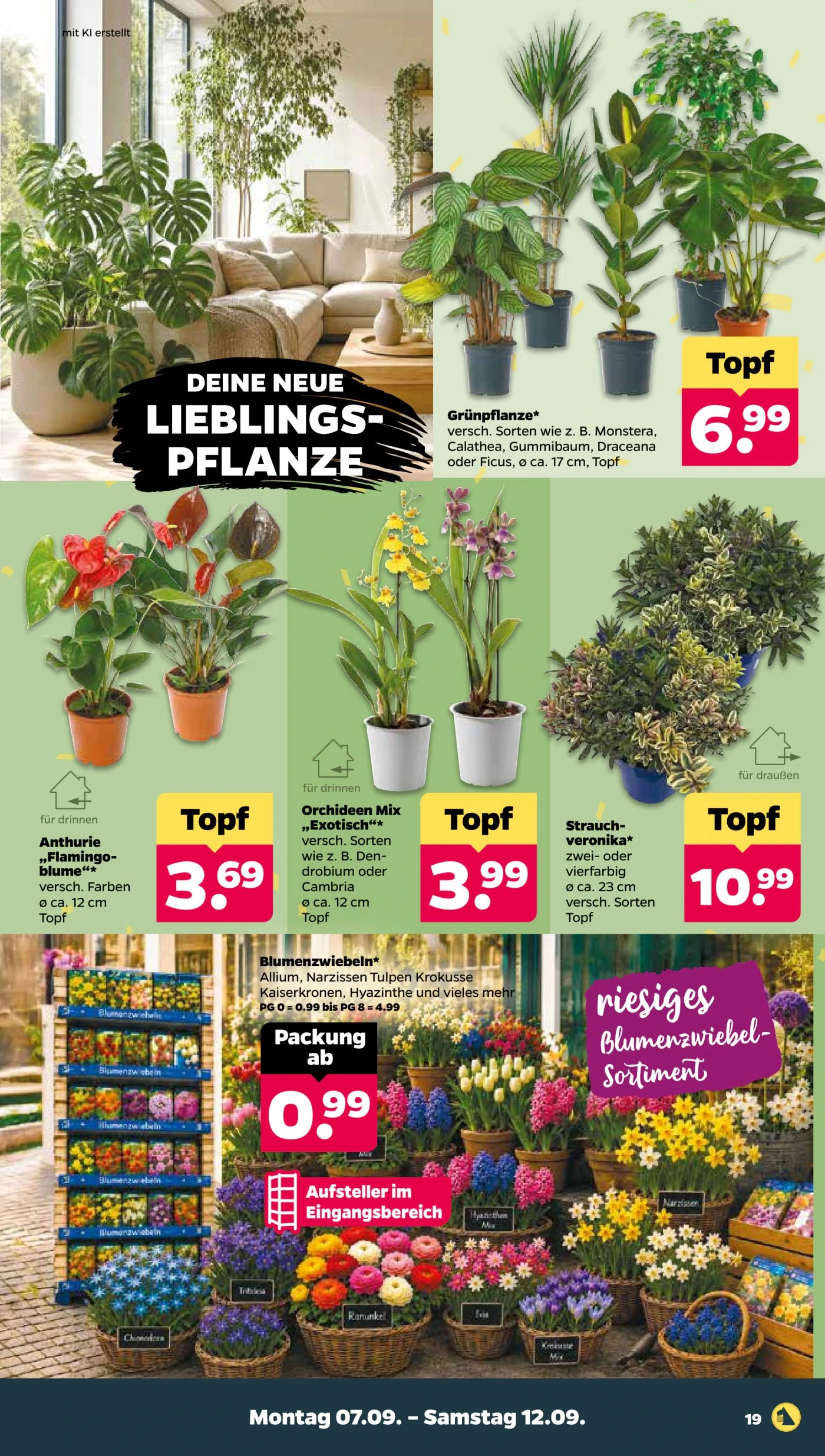 Flyer page 21