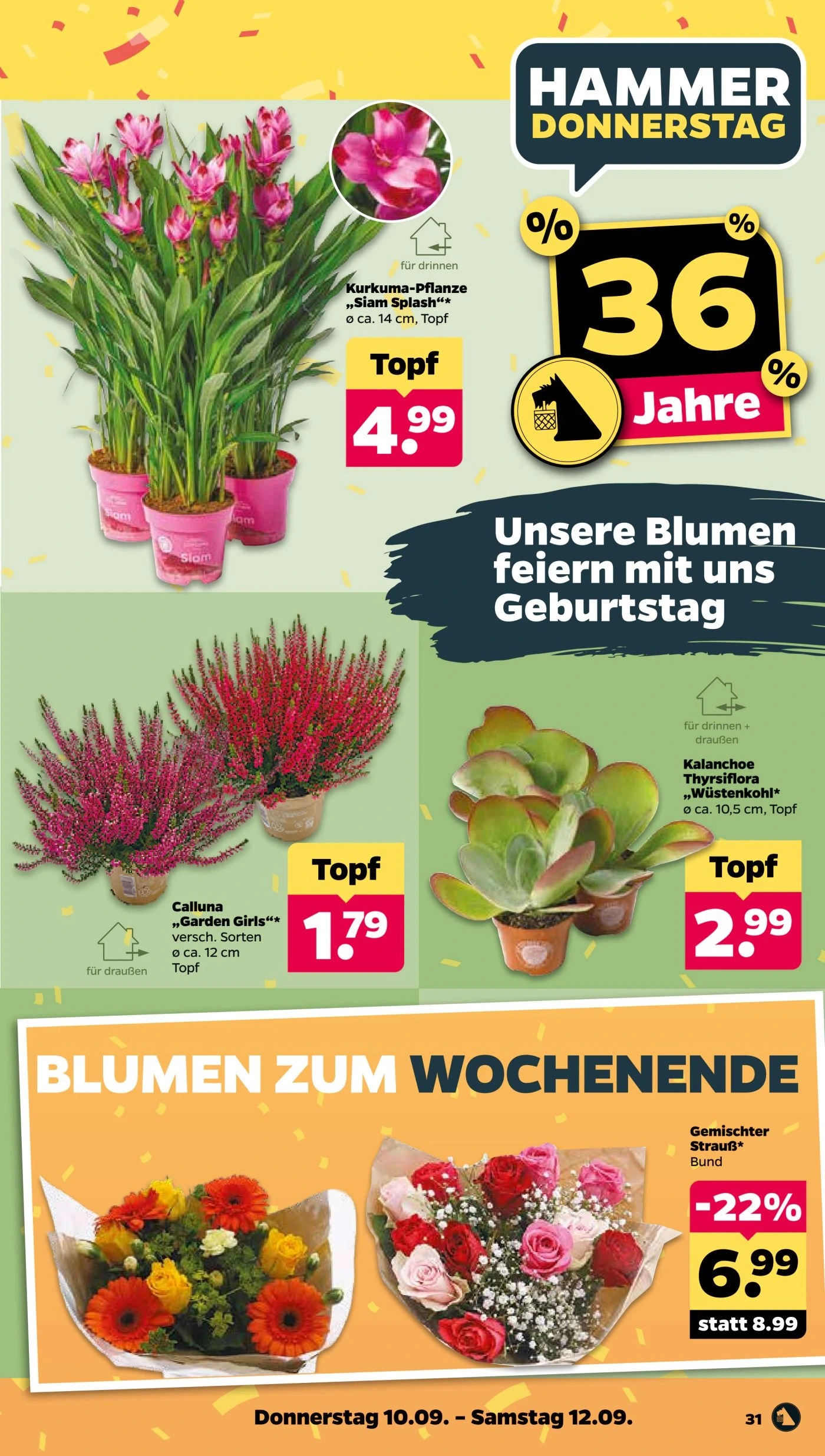 Flyer page 35