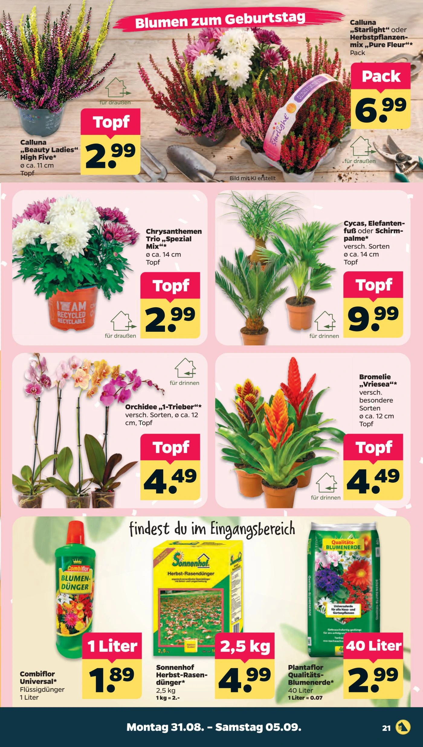 Flyer page 23